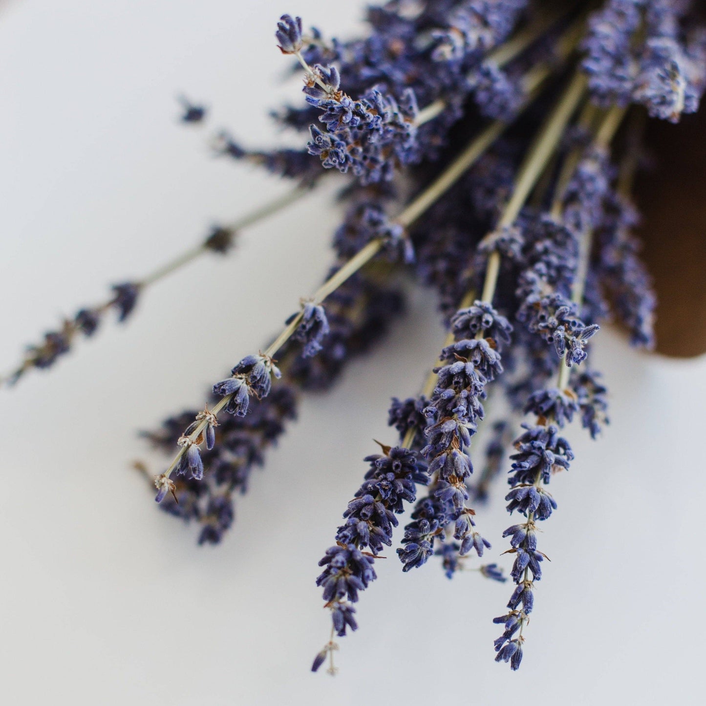 Lavender Earl Grey Black Tea Mini Tea Tube Gift (5 tea bags) - The Localist