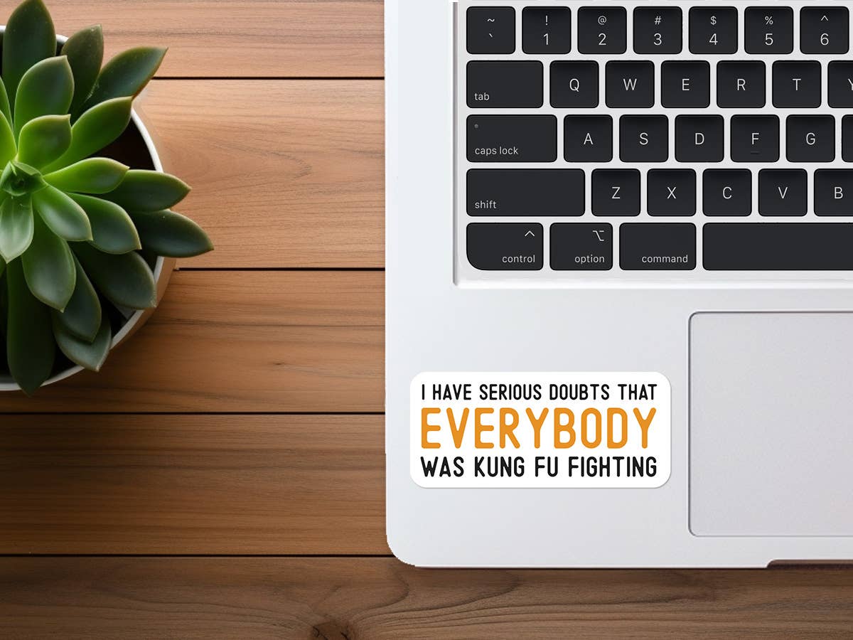 Was Everybody Kung Fu Fighting? | Funny Sticker | Waterproof