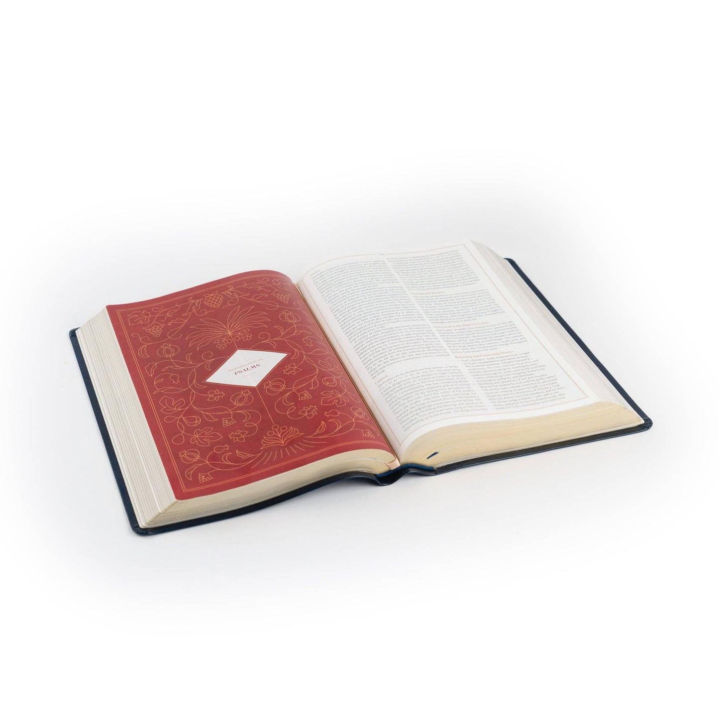 CSB Women's Study Bible: Versailles Theme