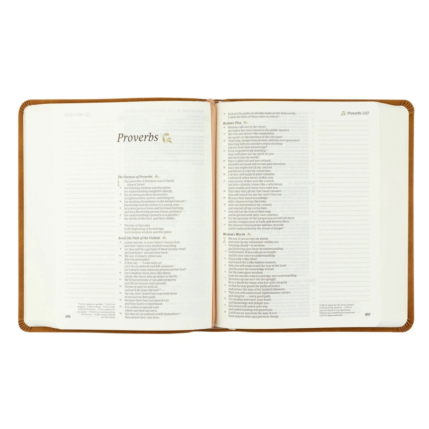 CSB Notetaking Bible - Amelia Theme - Hosanna Revival - The Localist