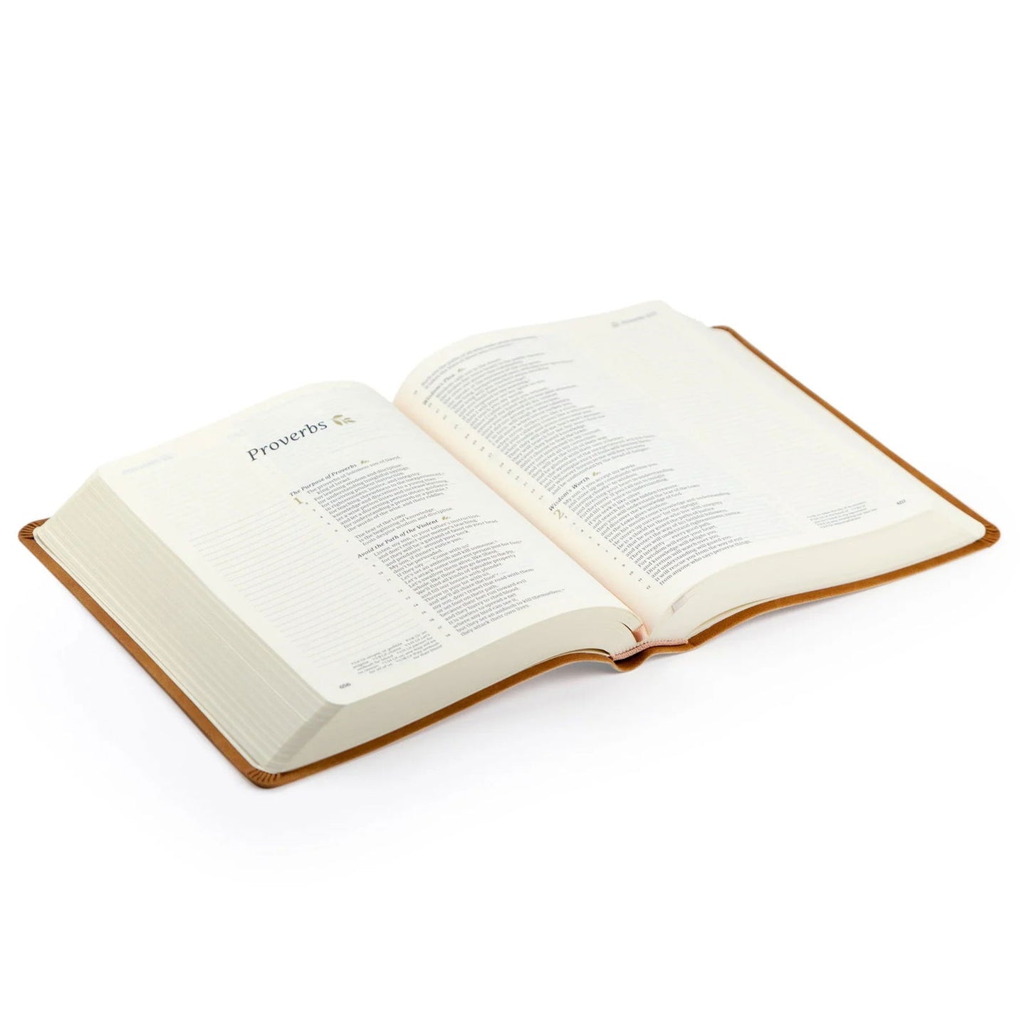 CSB Notetaking Bible - Amelia Theme - Hosanna Revival - The Localist