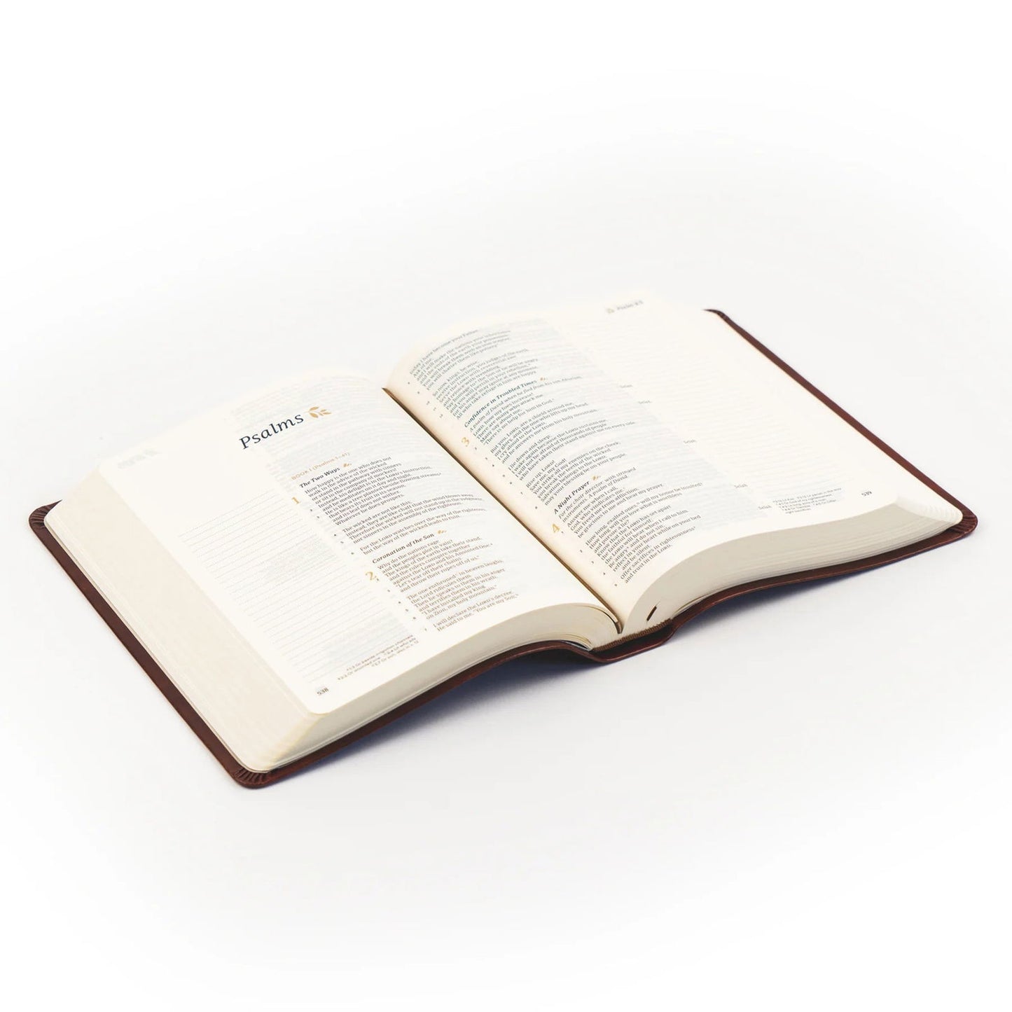 Anchorage-CSB Notetaking Bible - - Hosanna Revival - The Localist