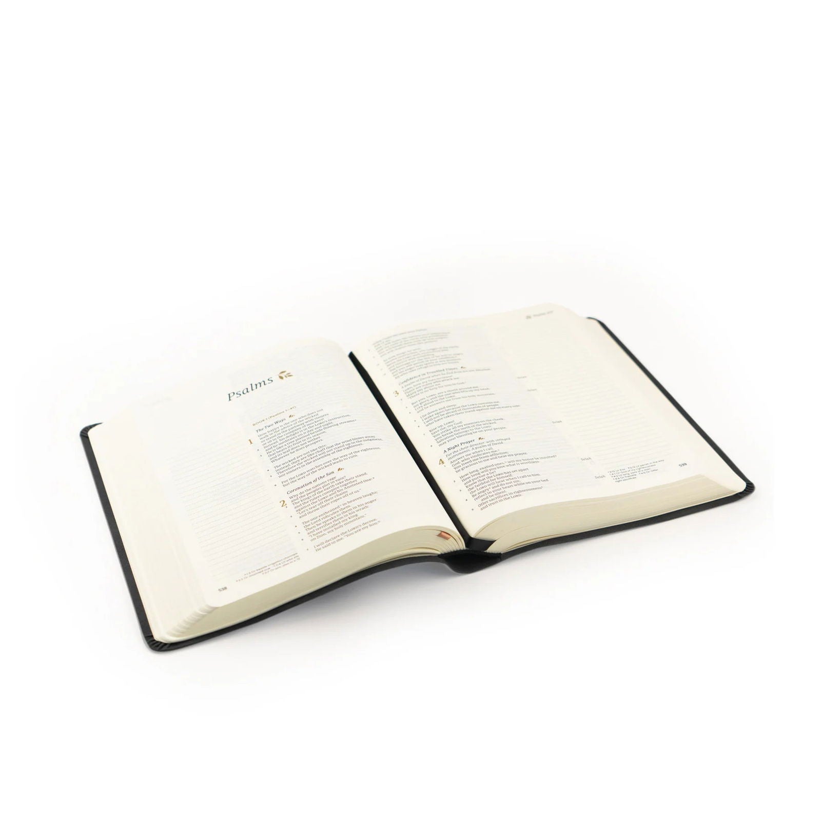 Jerusalem-CSB Notetaking Bible Hosanna Revival - The Localist