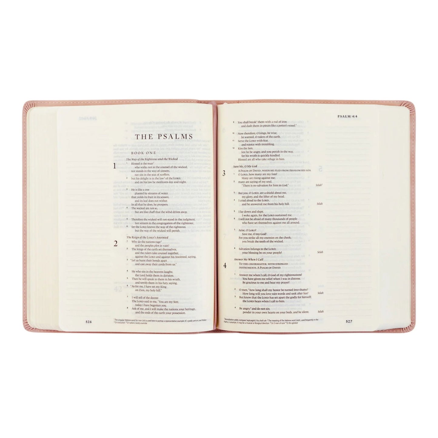 ESV Journaling Bible - Shiloh Theme - Hosanna Revival - - The Localist