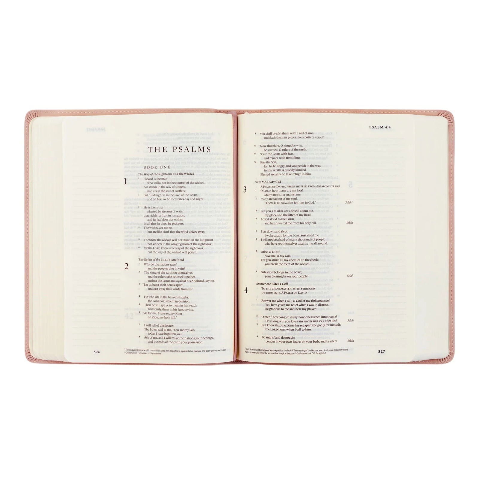 ESV Journaling Bible - Shiloh Theme - Hosanna Revival - The Localist