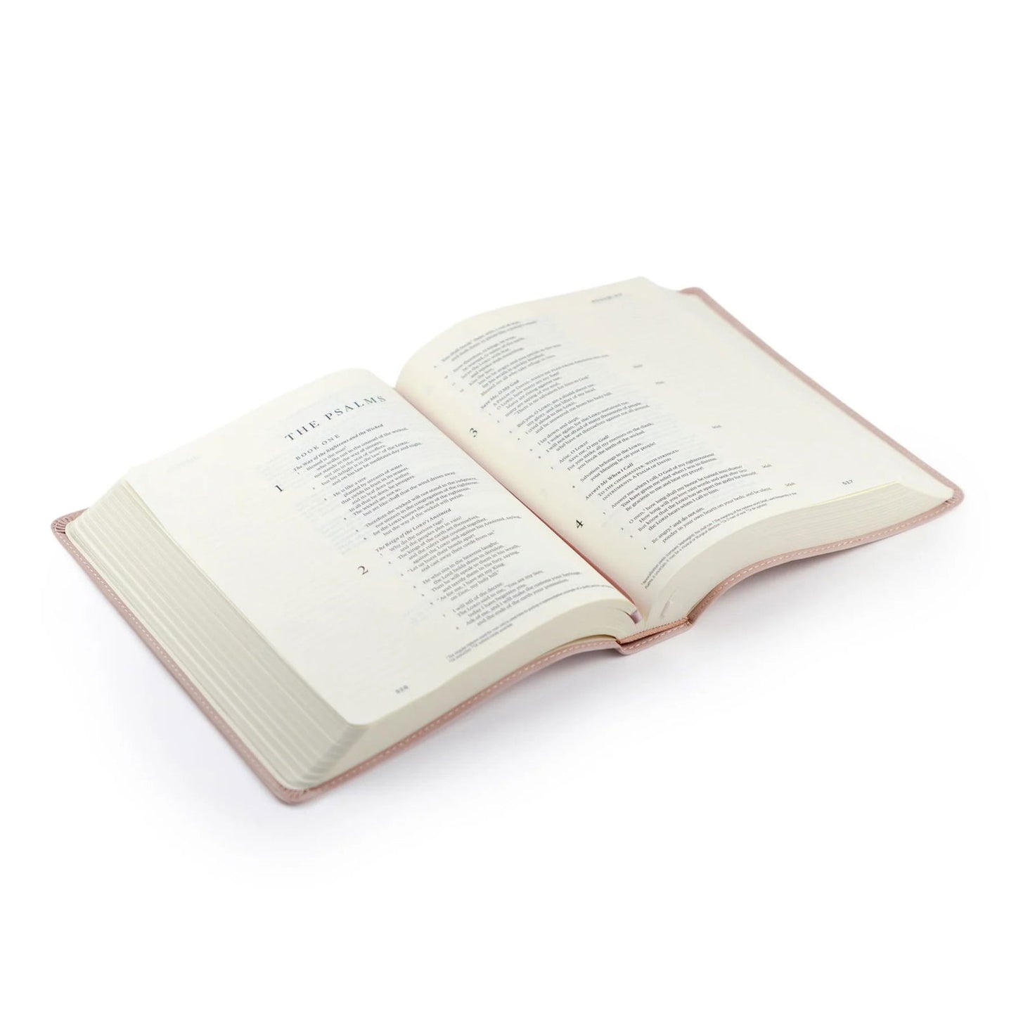ESV Journaling Bible - Shiloh Theme - Hosanna Revival - - The Localist