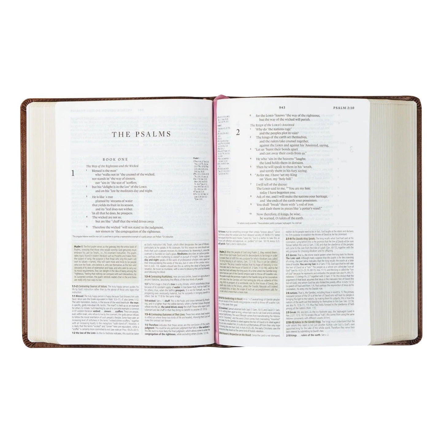 ESV Study Bible - Aurora Theme - Hosanna Revival - The Localist