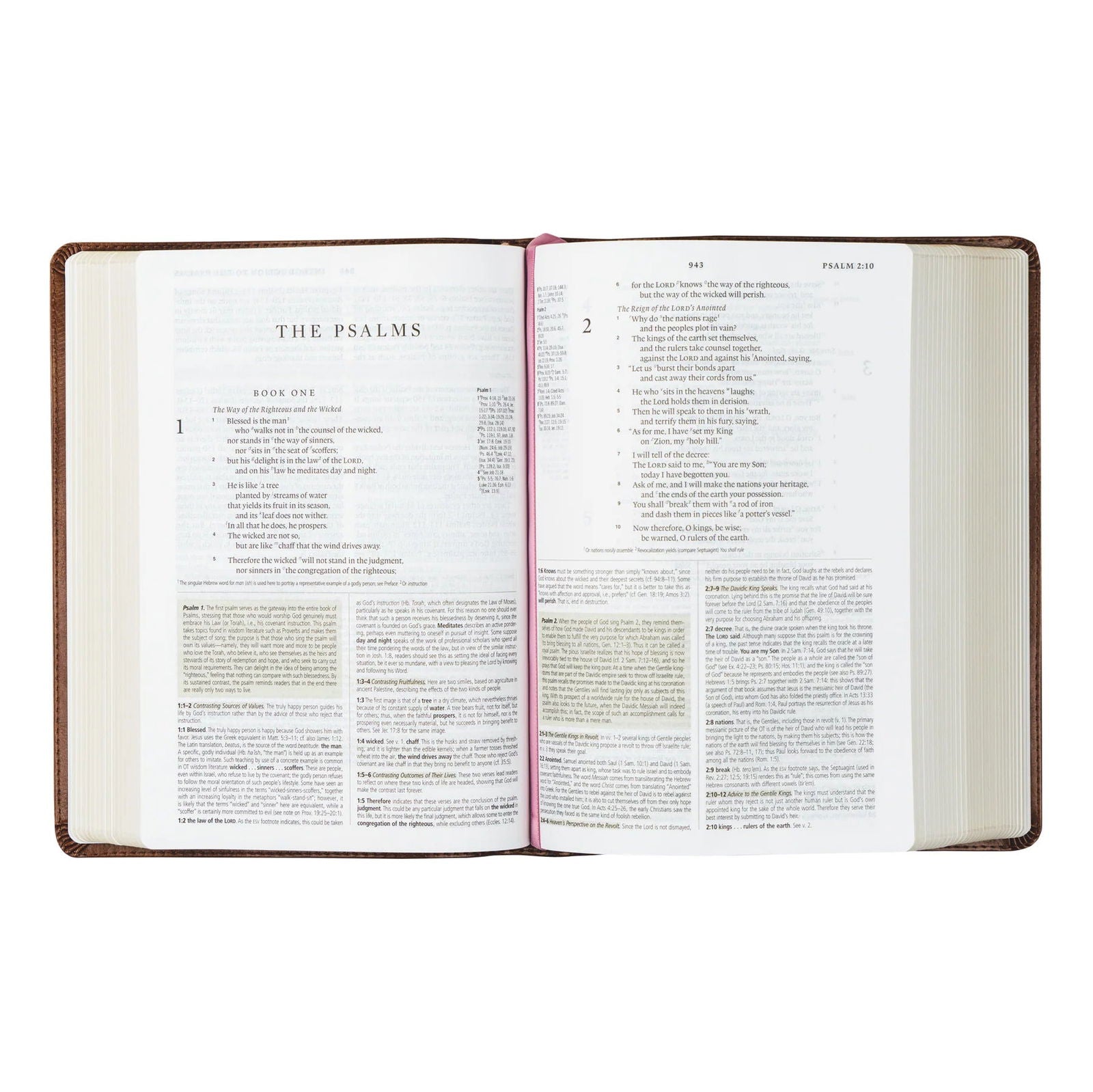 ESV Study Bible - Aurora Theme - Hosanna Revival - The Localist