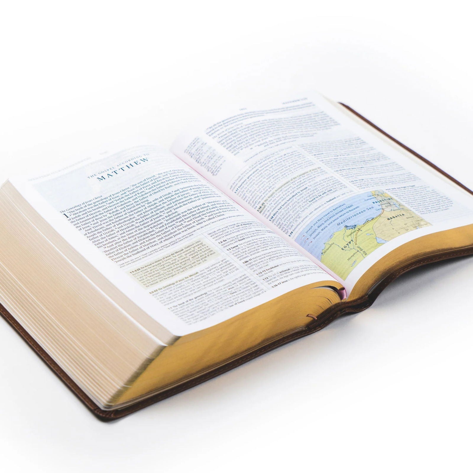 ESV Study Bible - Aurora Theme - Hosanna Revival - The Localist