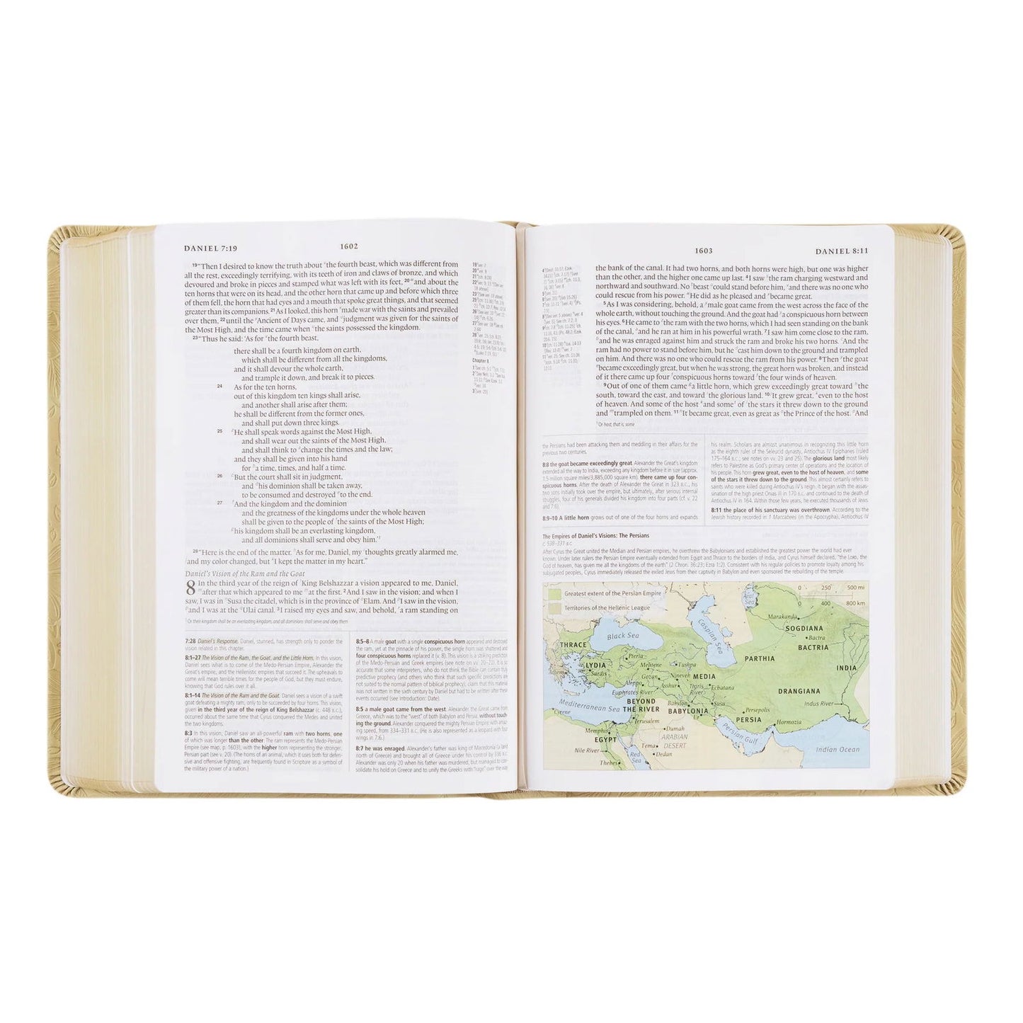 ESV Study Bible: Sonora Theme - The Localist