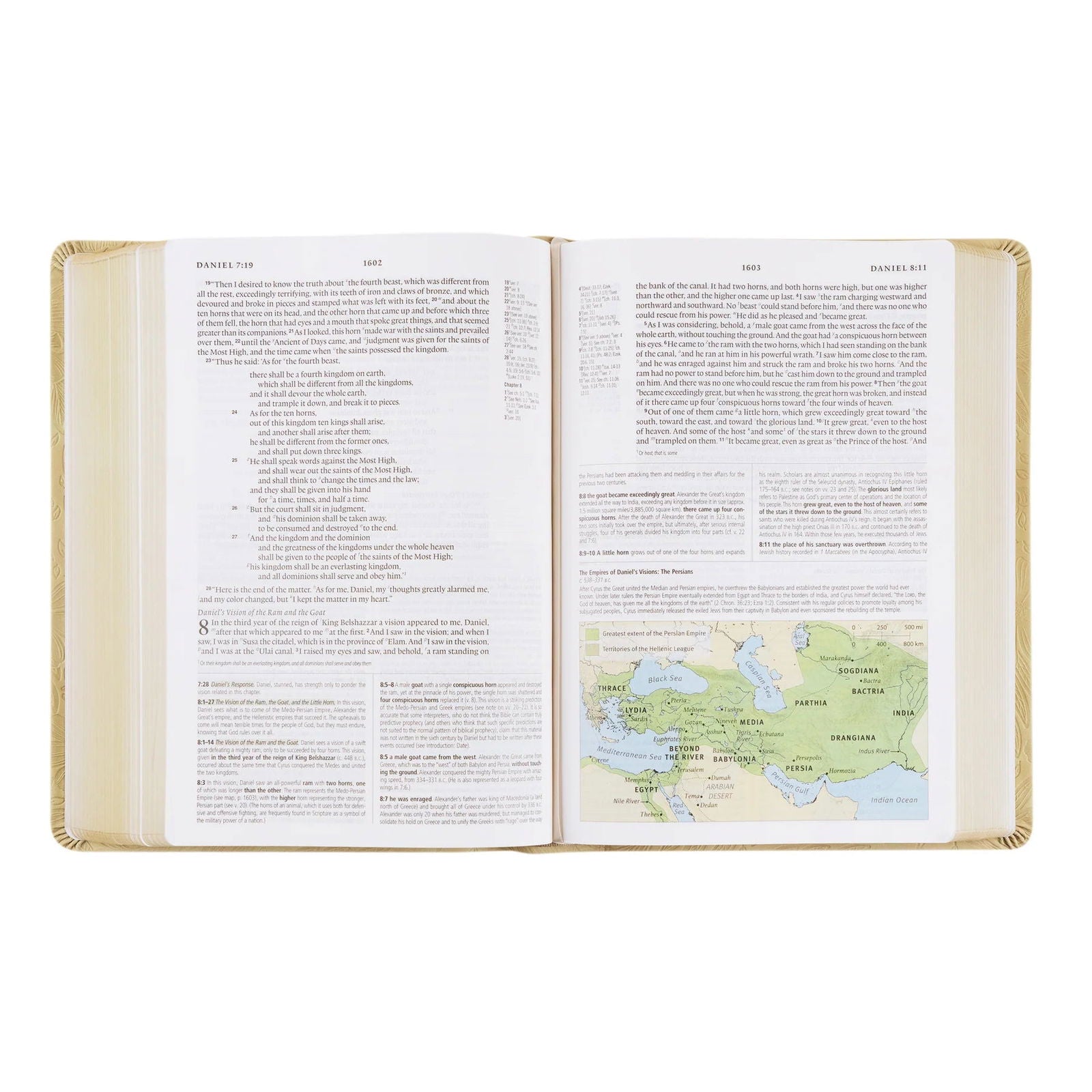 ESV Study Bible: Sonora Theme - The Localist