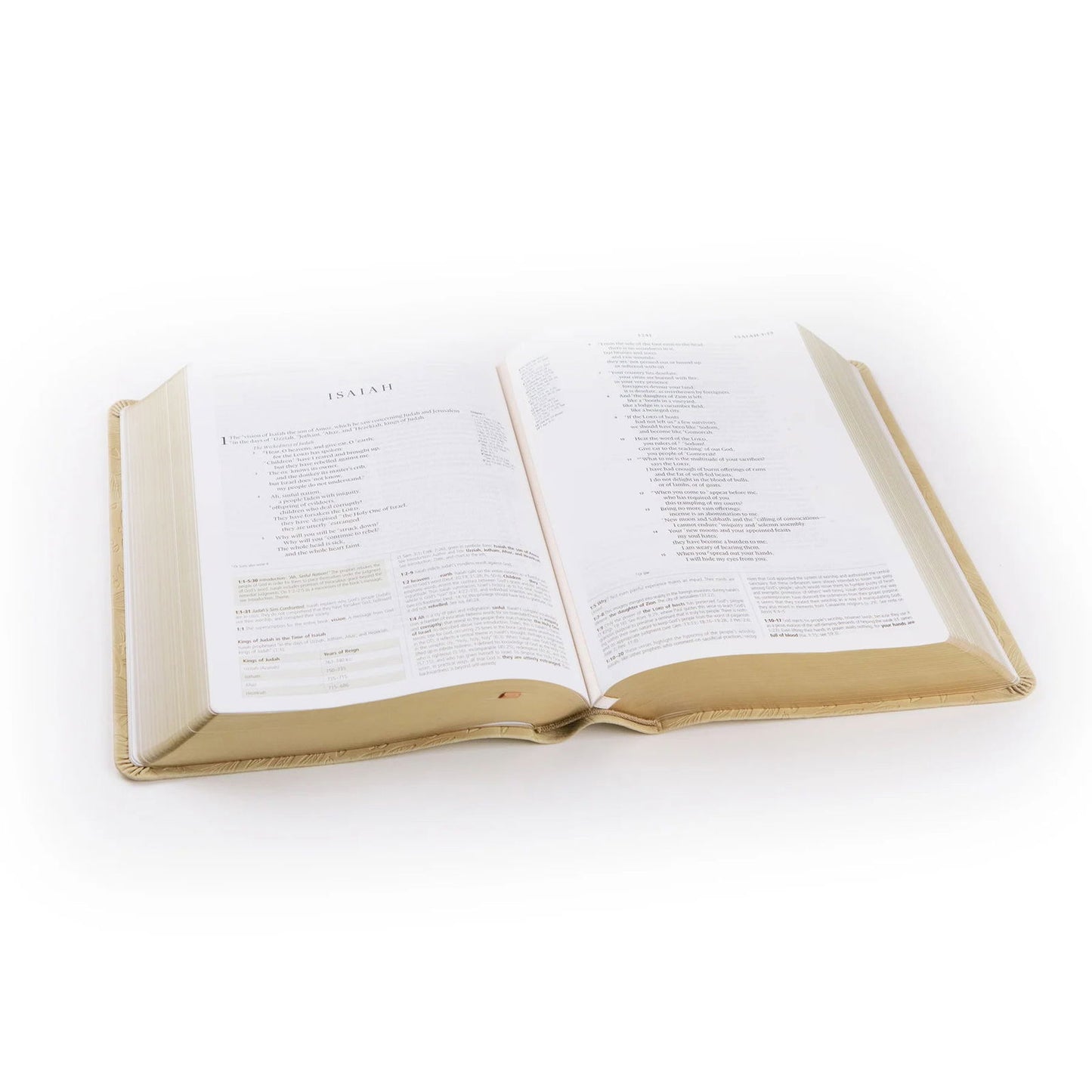 ESV Study Bible: Sonora Theme - The Localist