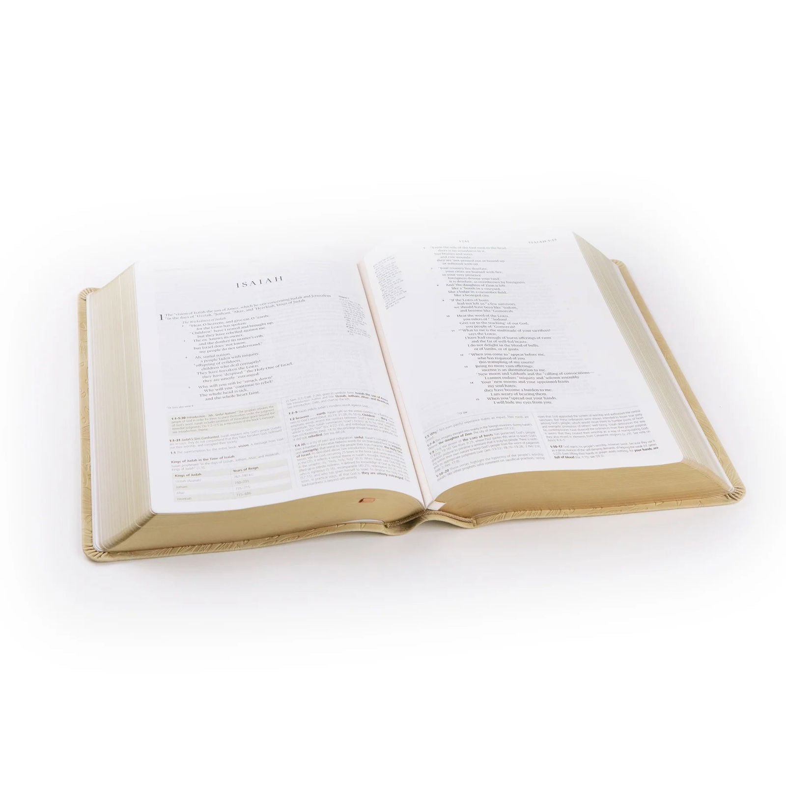 ESV Study Bible: Sonora Theme - The Localist