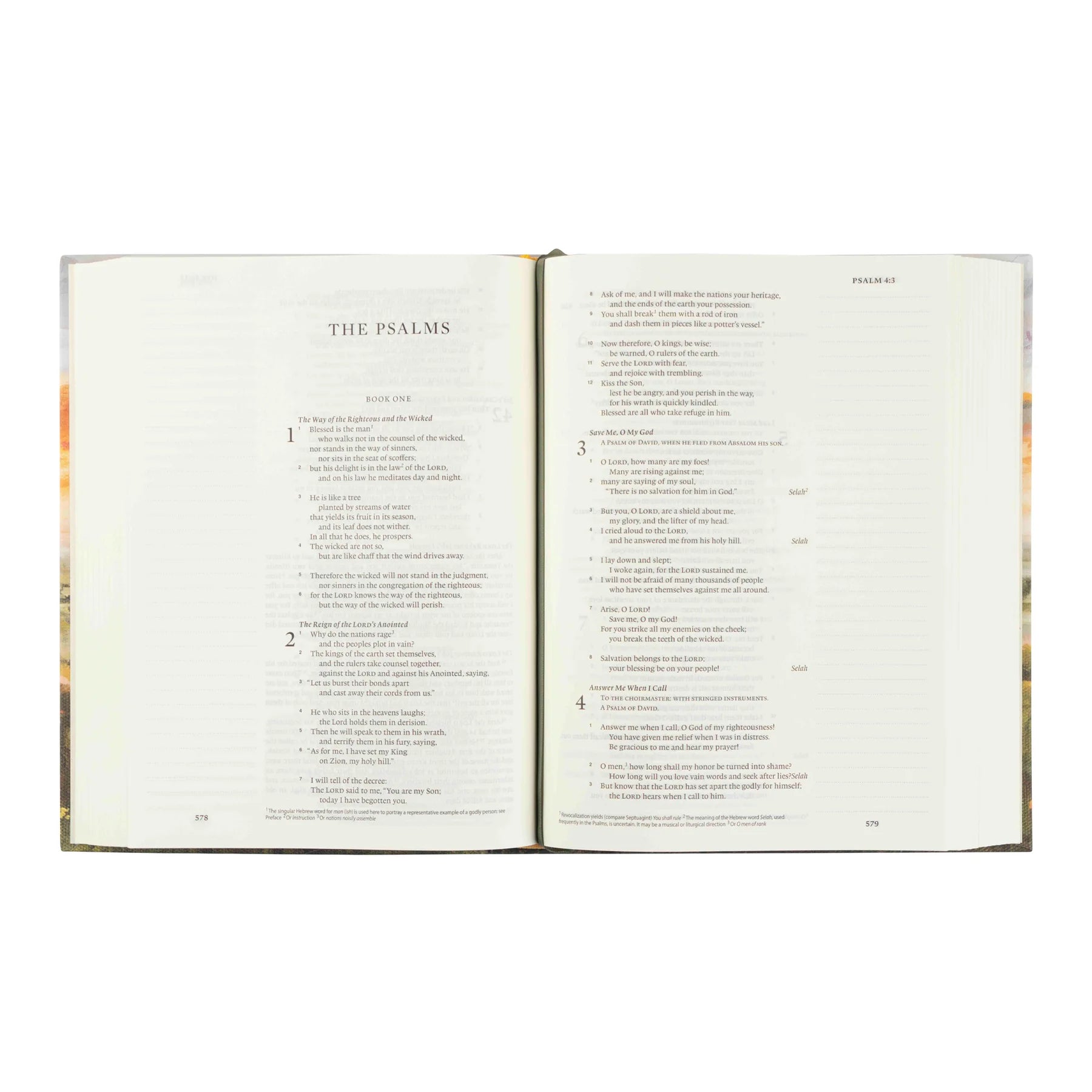 ESV Journaling Bible - Florence - Hosanna Revival - The Localist