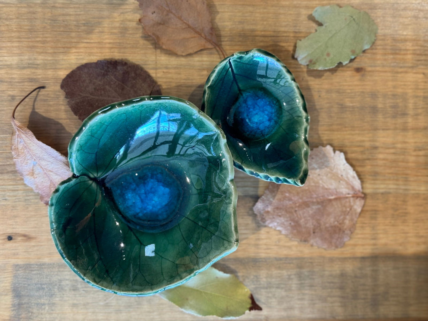 Leaf Dishes - The Localist