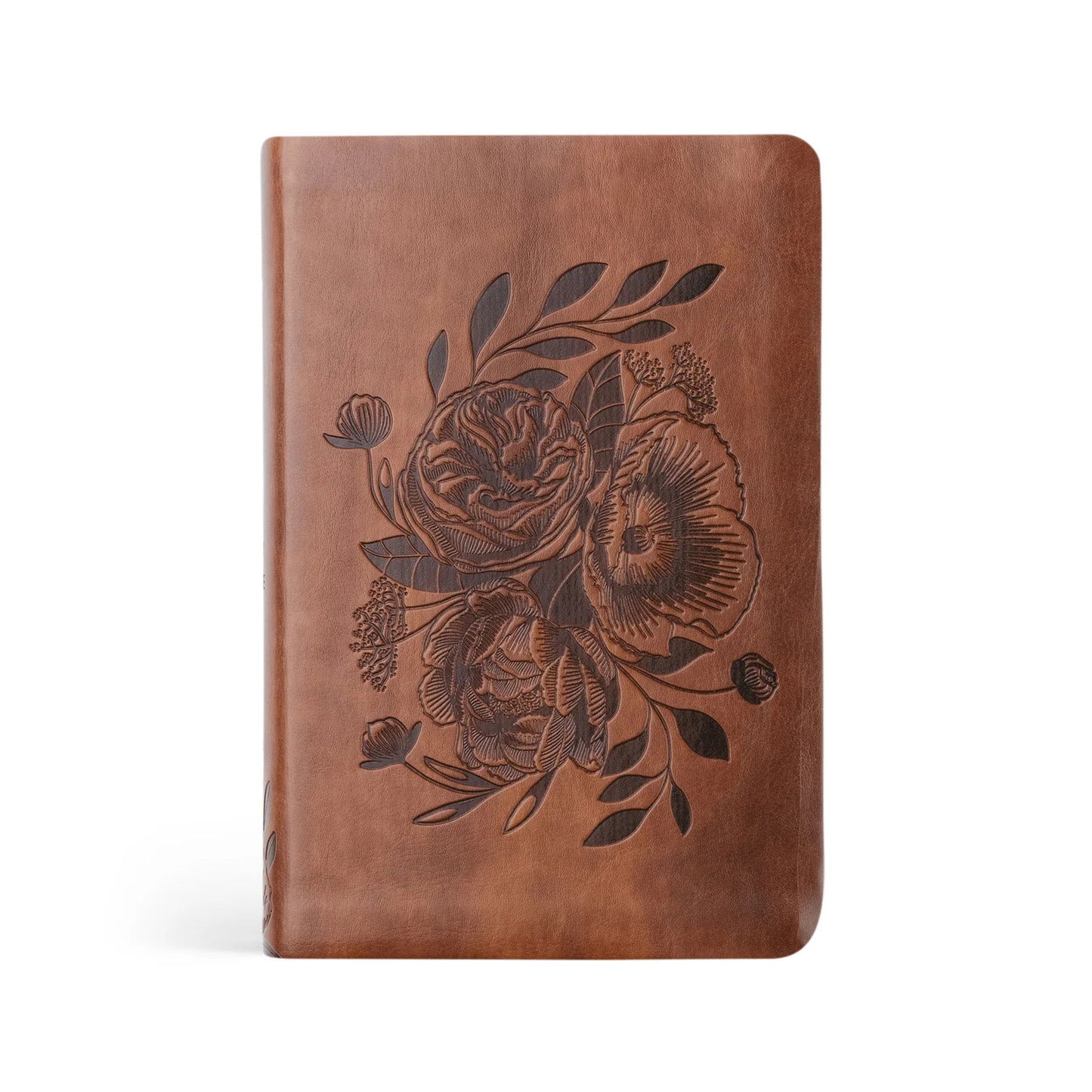 Aurora NLT Compact Bible - Hosanna Revival - The Localist