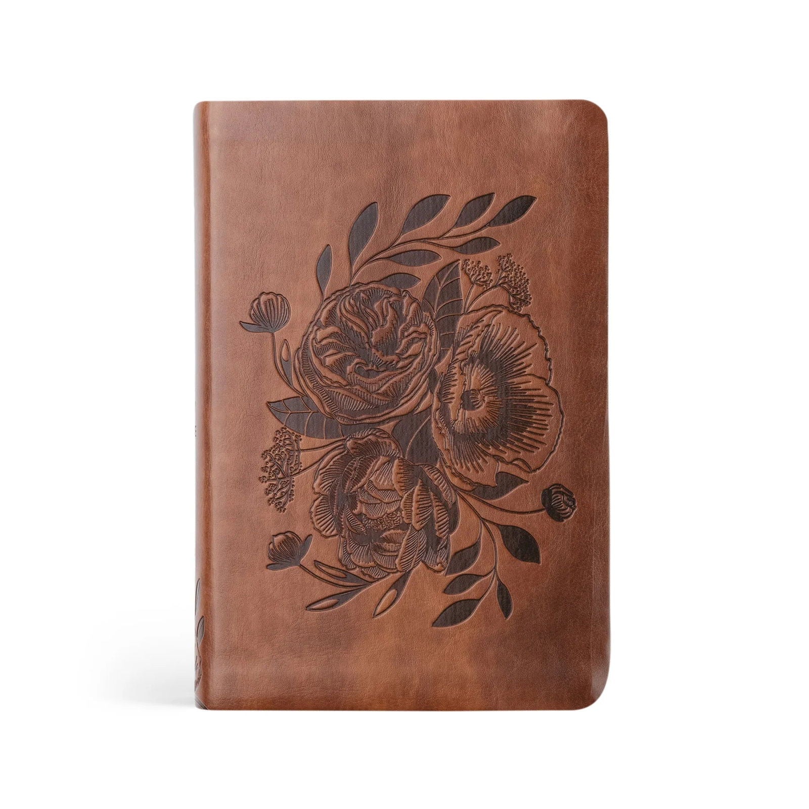 Aurora NLT Compact Bible - Hosanna Revival - The Localist