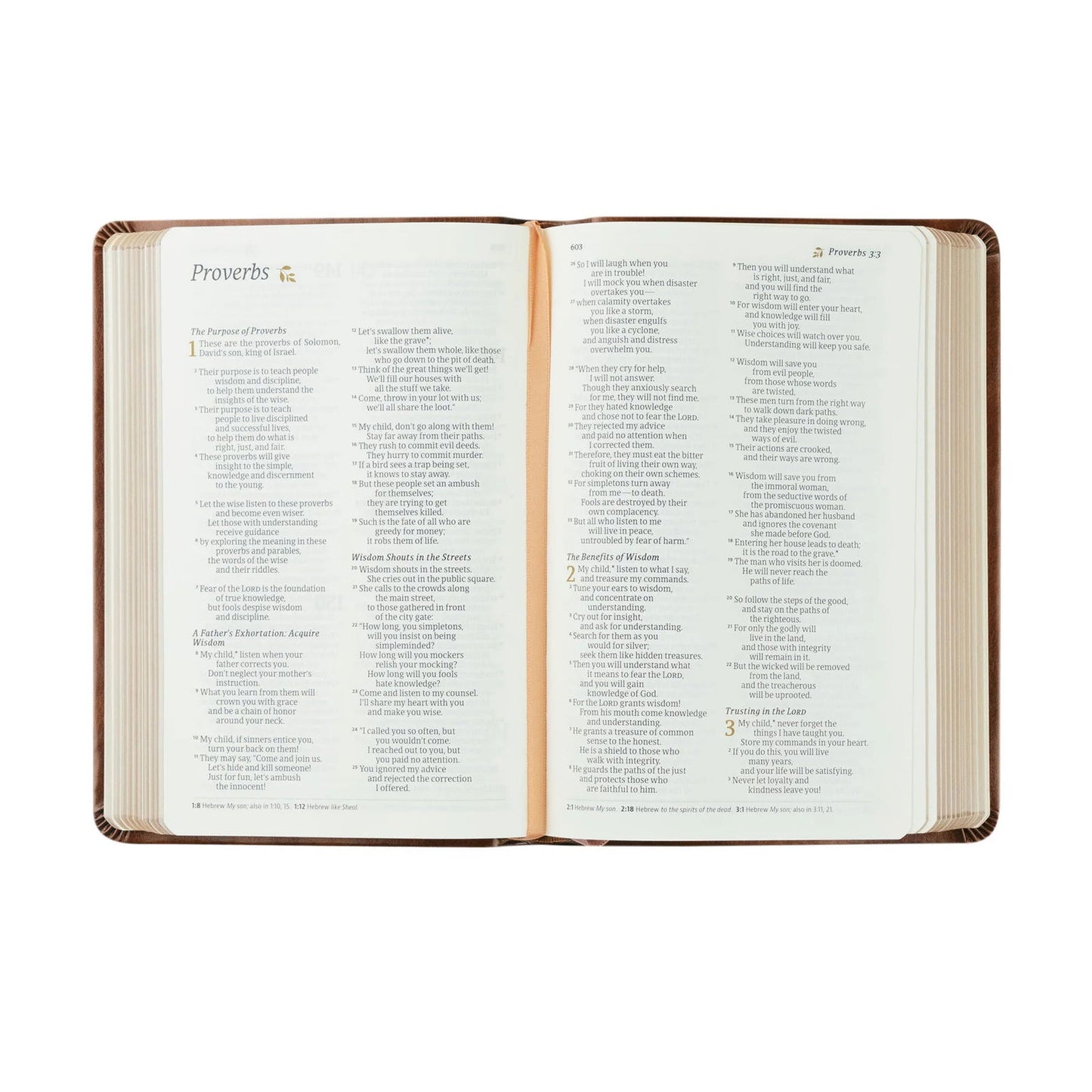 Aurora NLT Compact Bible - Hosanna Revival - The Localist