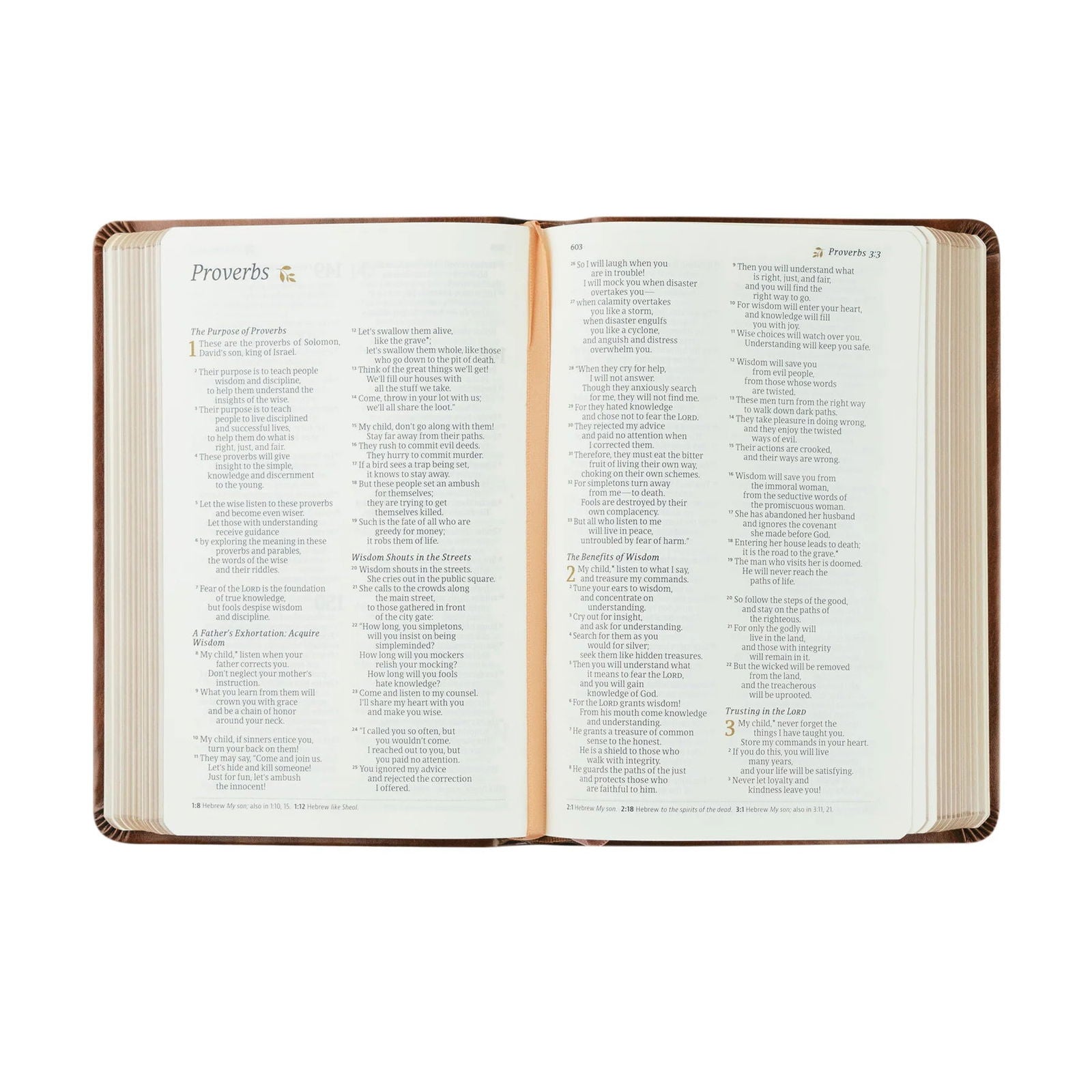 Aurora NLT Compact Bible - Hosanna Revival - The Localist