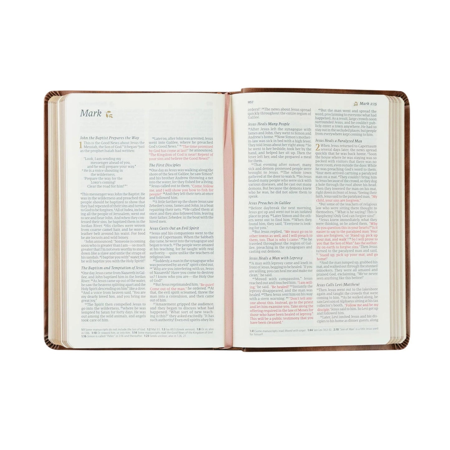 Aurora NLT Compact Bible - Hosanna Revival - The Localist