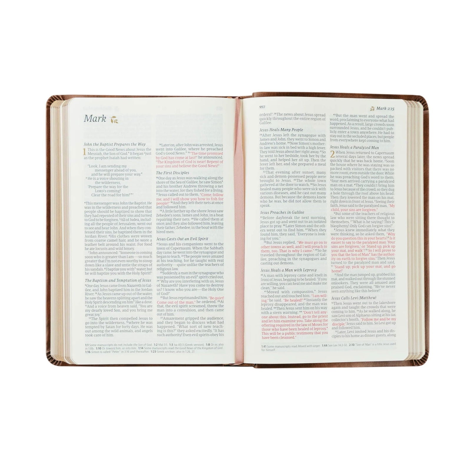 Aurora NLT Compact Bible - Hosanna Revival - The Localist