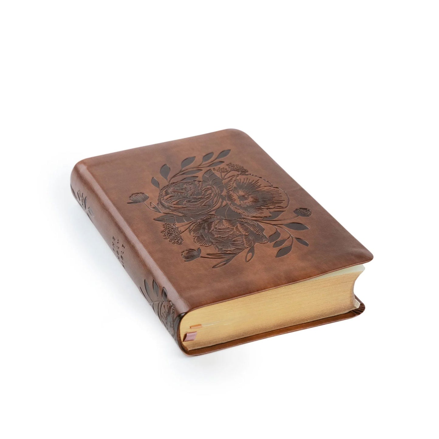 Aurora NLT Compact Bible - Hosanna Revival - The Localist