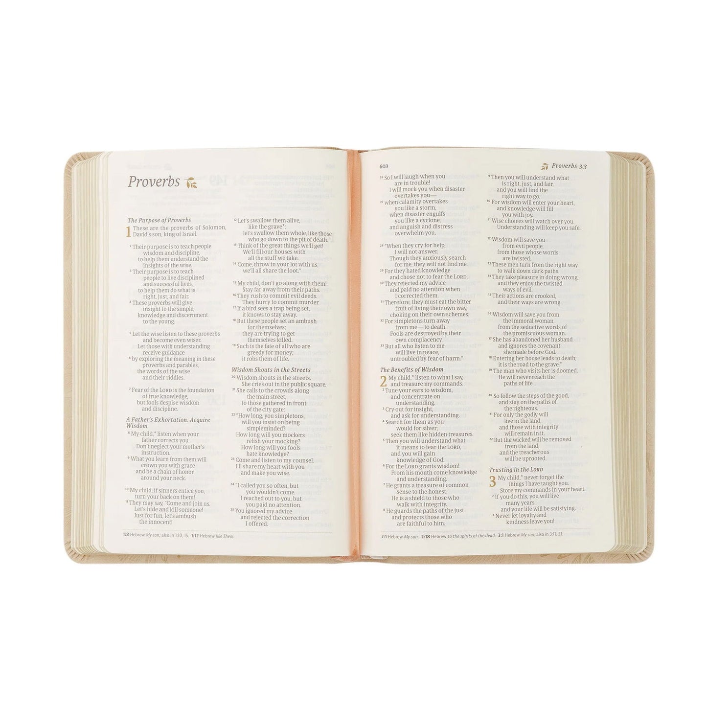 NLT Compact Bible: Sonora Theme - The Localist
