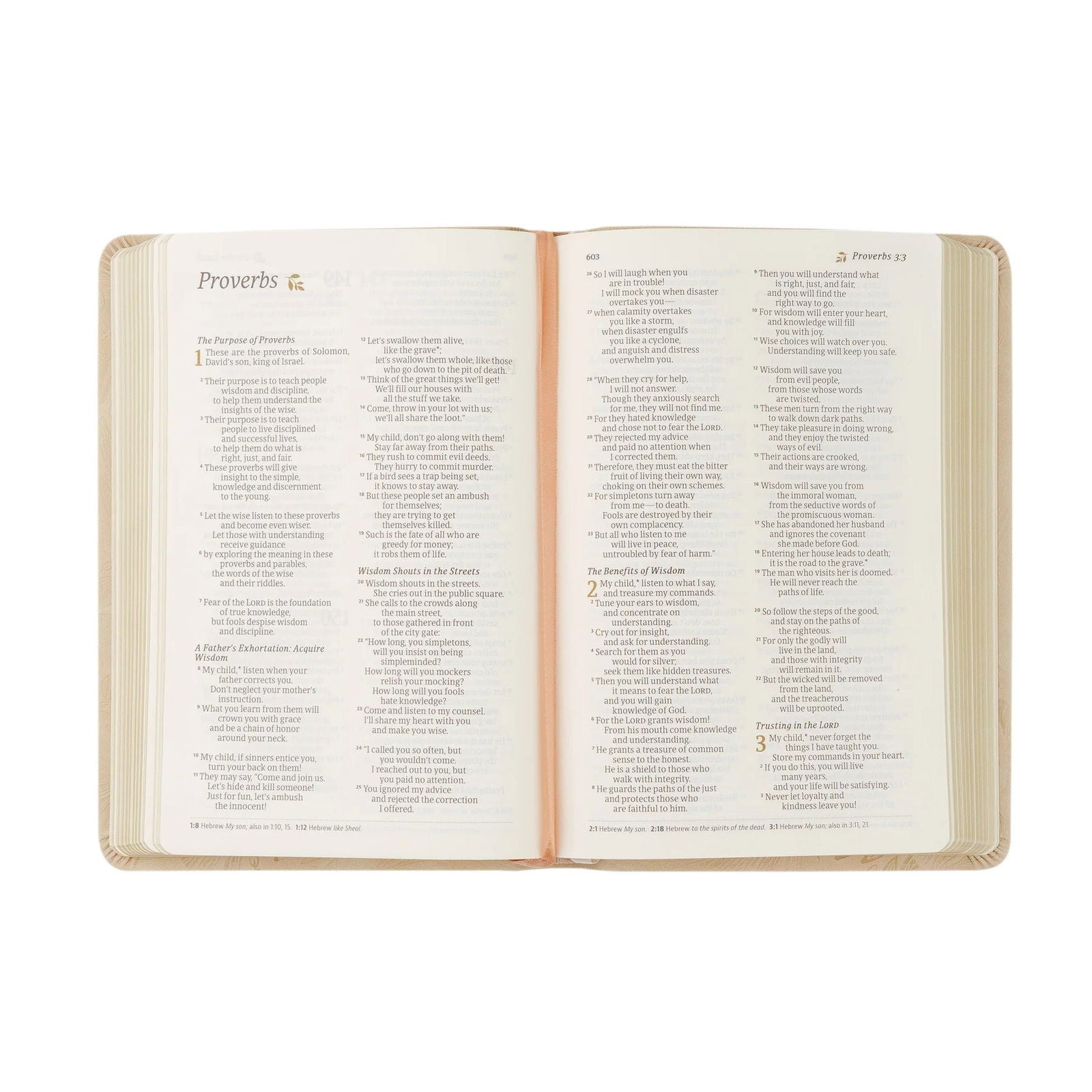 NLT Compact Bible: Sonora Theme - The Localist