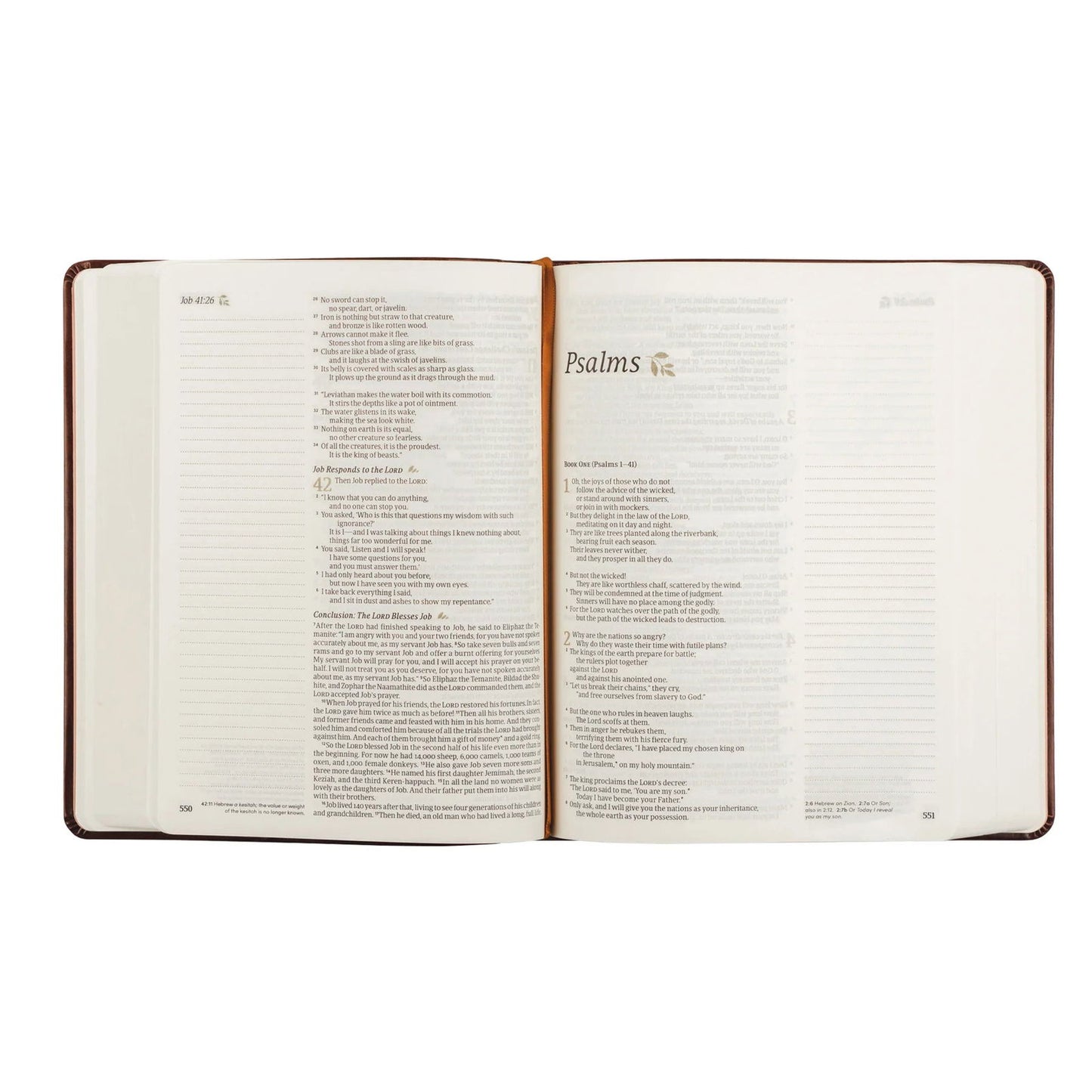 NLT Notetaking Bible - Santa Elena Theme - Hosanna Revival - The Localist