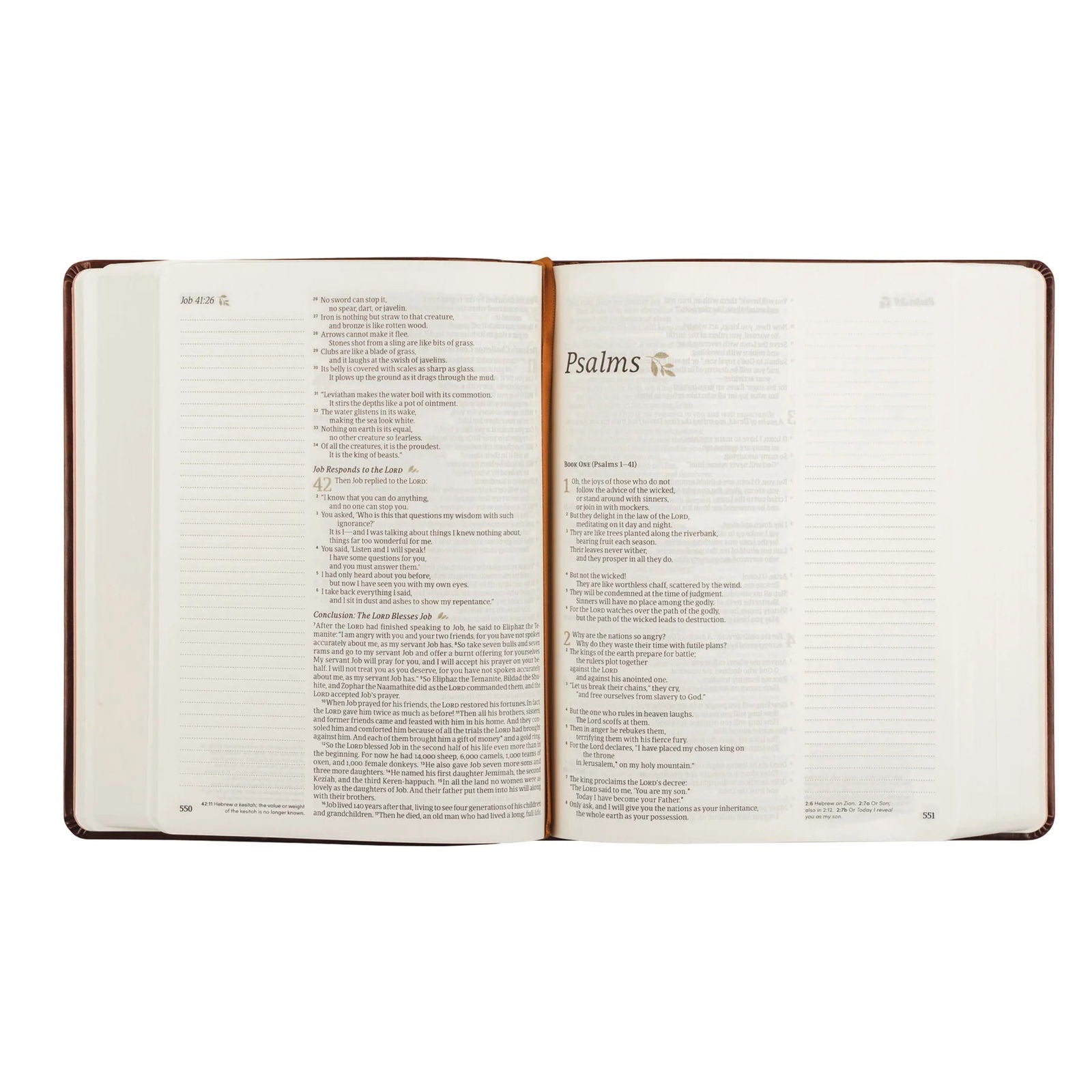 NLT Notetaking Bible - Santa Elena Theme - Hosanna Revival - The Localist