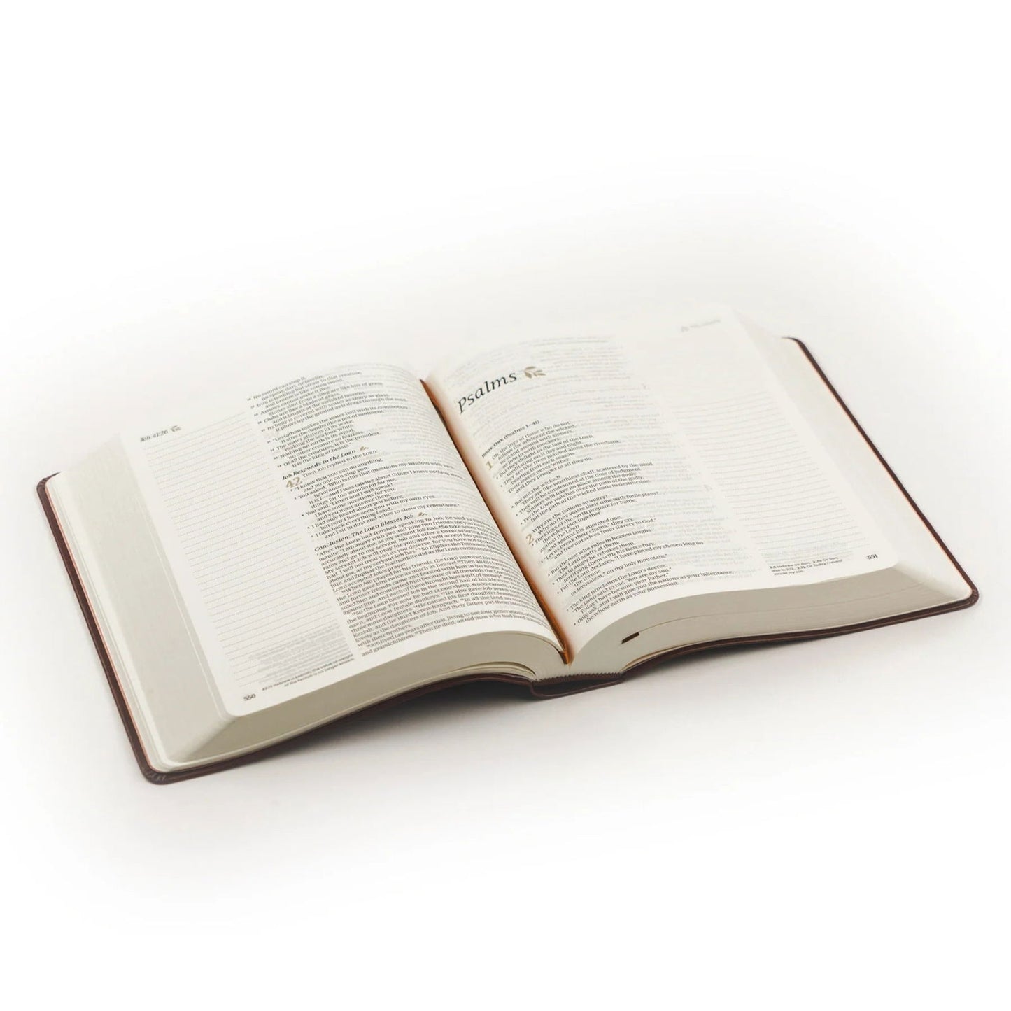 NLT Notetaking Bible - Santa Elena Theme - Hosanna Revival - The Localist