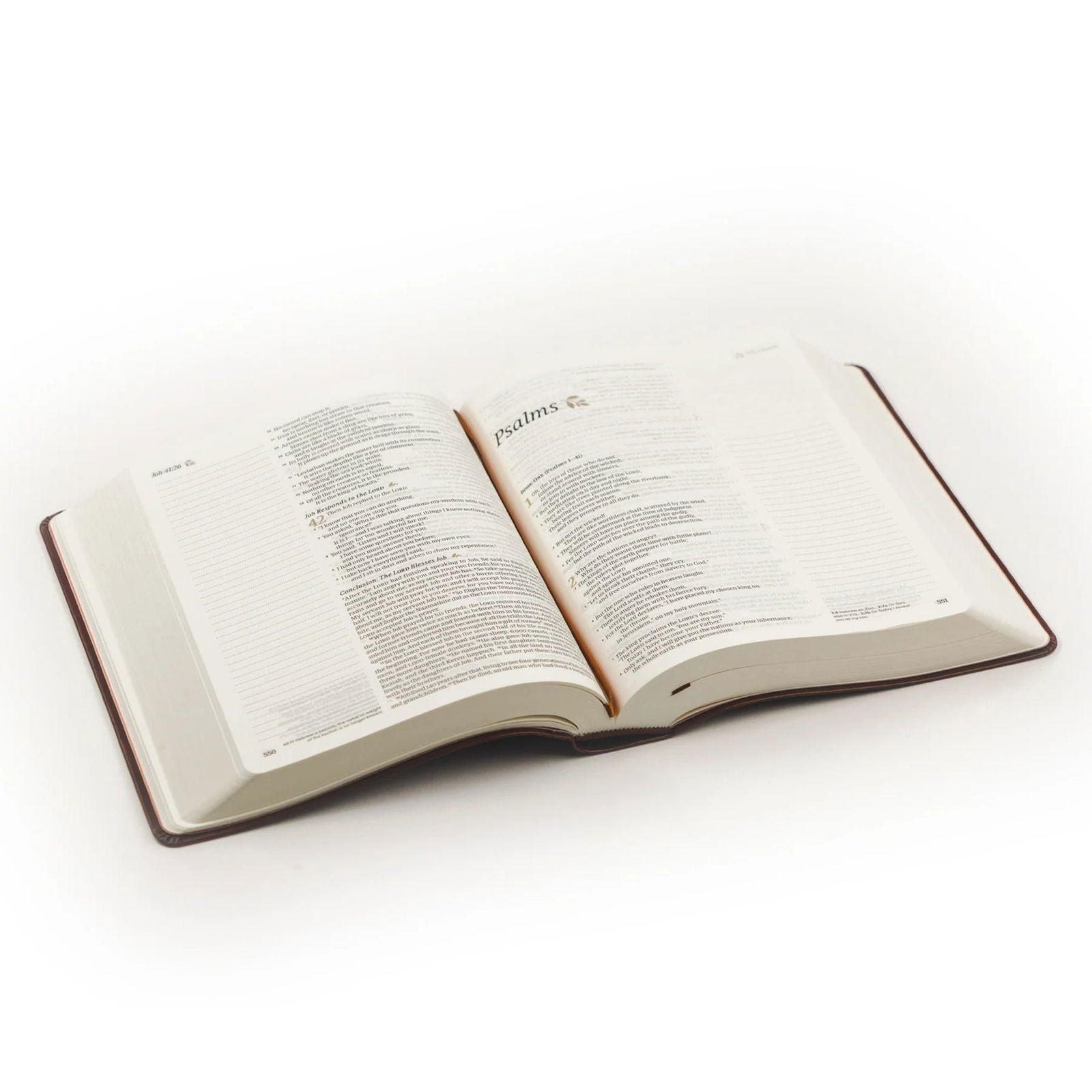 NLT Notetaking Bible - Santa Elena Theme - Hosanna Revival - The Localist