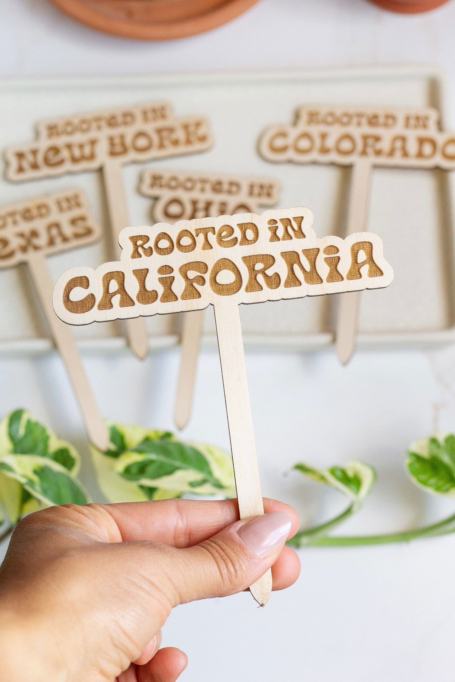 Retro State Name Plant Stakes - The Localist