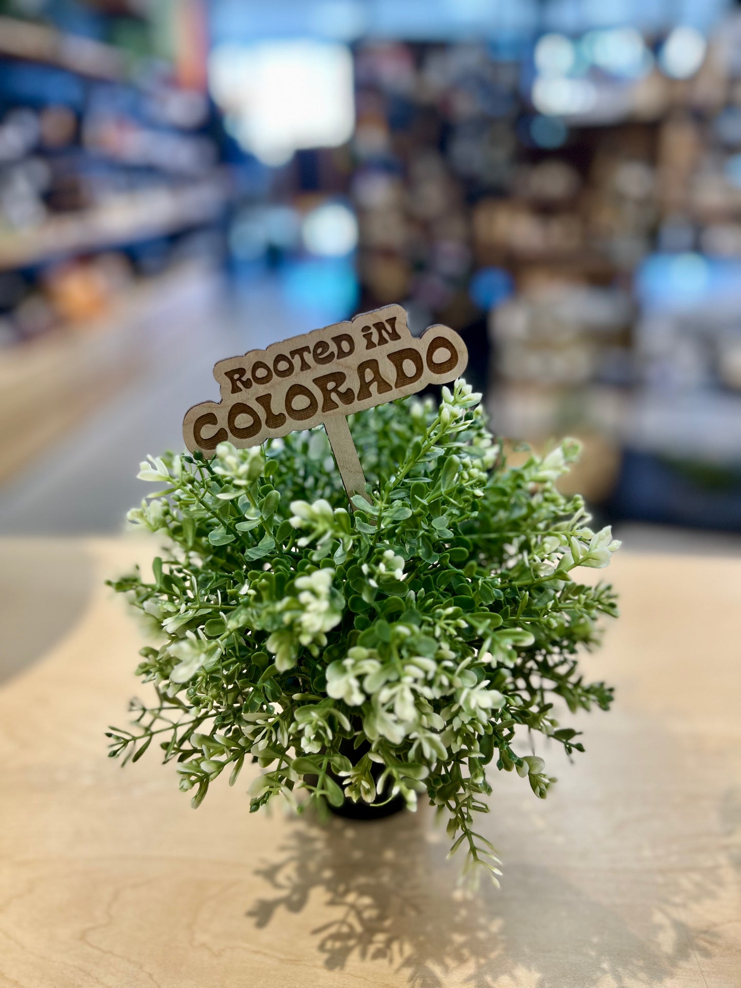 Funny Script Wooden Plant Markers - The Localist