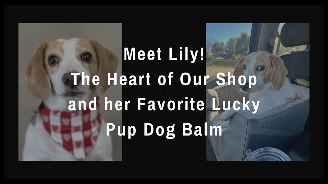 Meet Lily: The Heart of Our Shop and her Favorite Lucky Pup Dog Balm