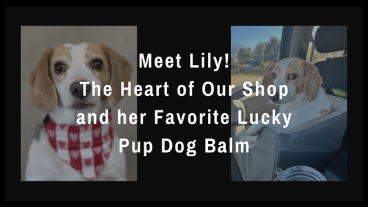 Meet Lily: The Heart of Our Shop and her Favorite Lucky Pup Dog Balm