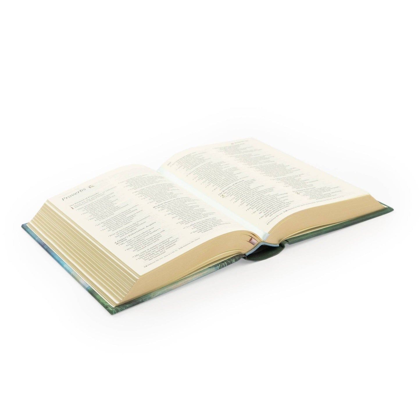 NLT Compact Bible: Prairie Theme