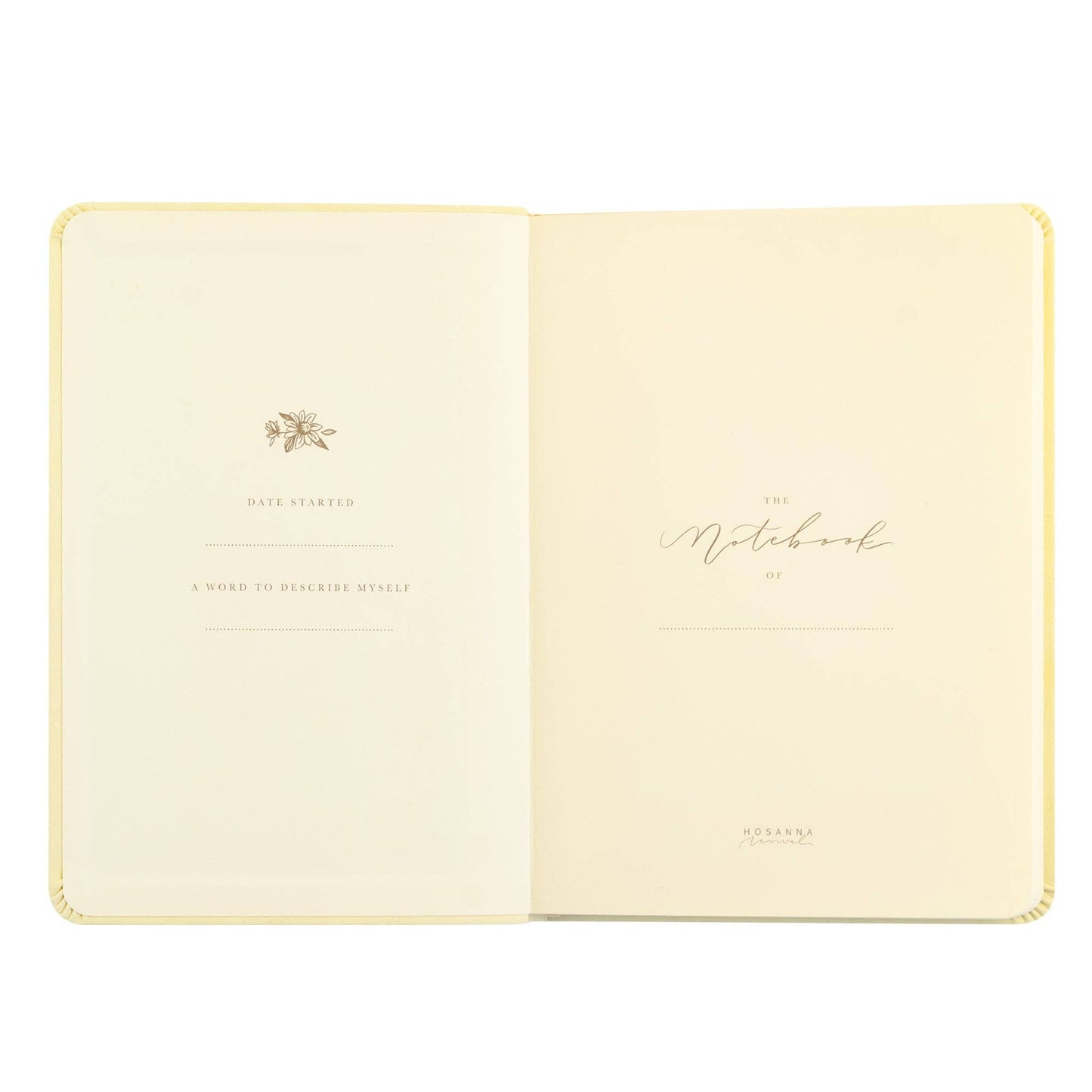 Notebook: Belfast Theme