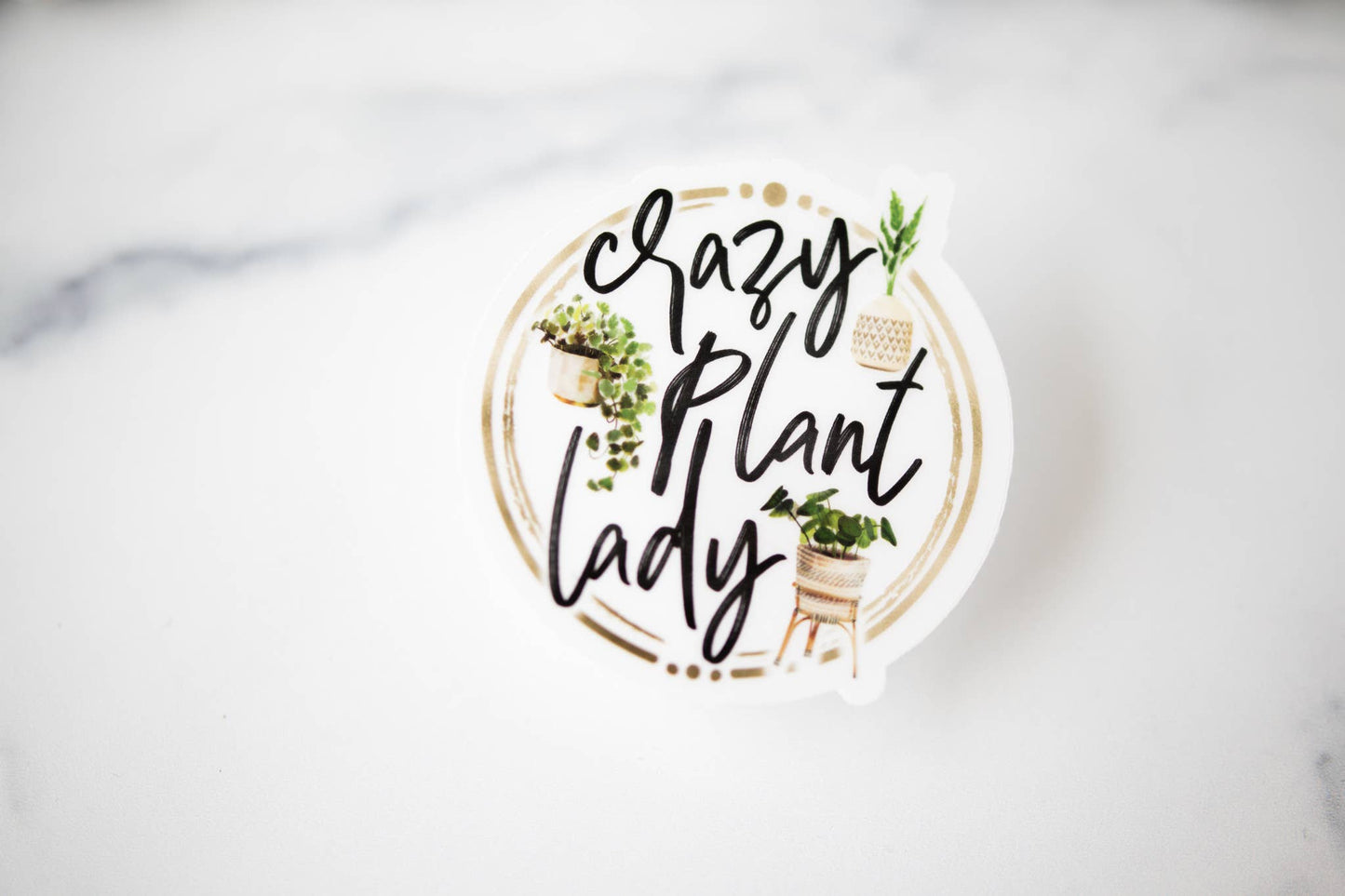 Crazy Plant Lady Spring, Clear Vinyl , Sticker, 3 in.