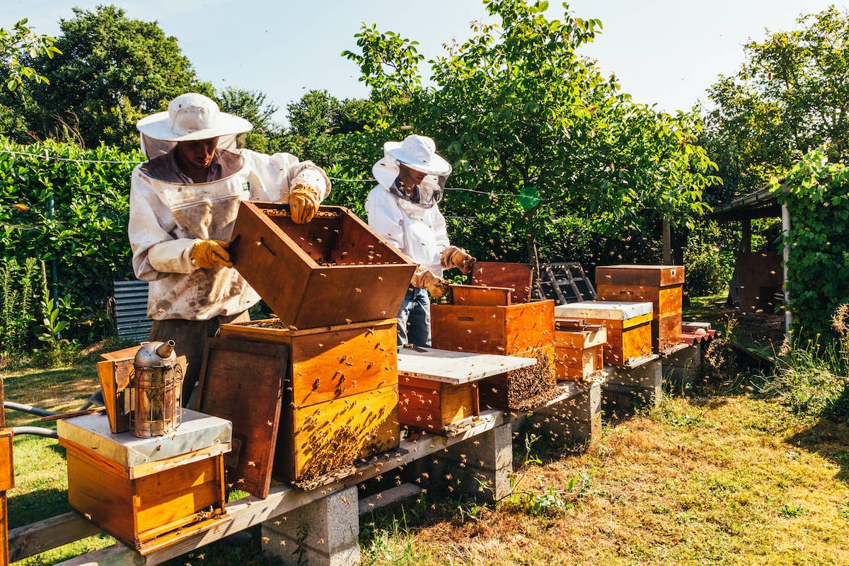 100% Honey Sweetened Salted Honey Caramel from Bee Grateful Farms - The Localist