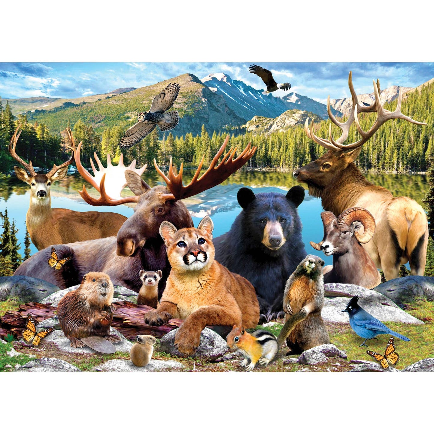 Rocky Mountain National Park 500 Piece Puzzle