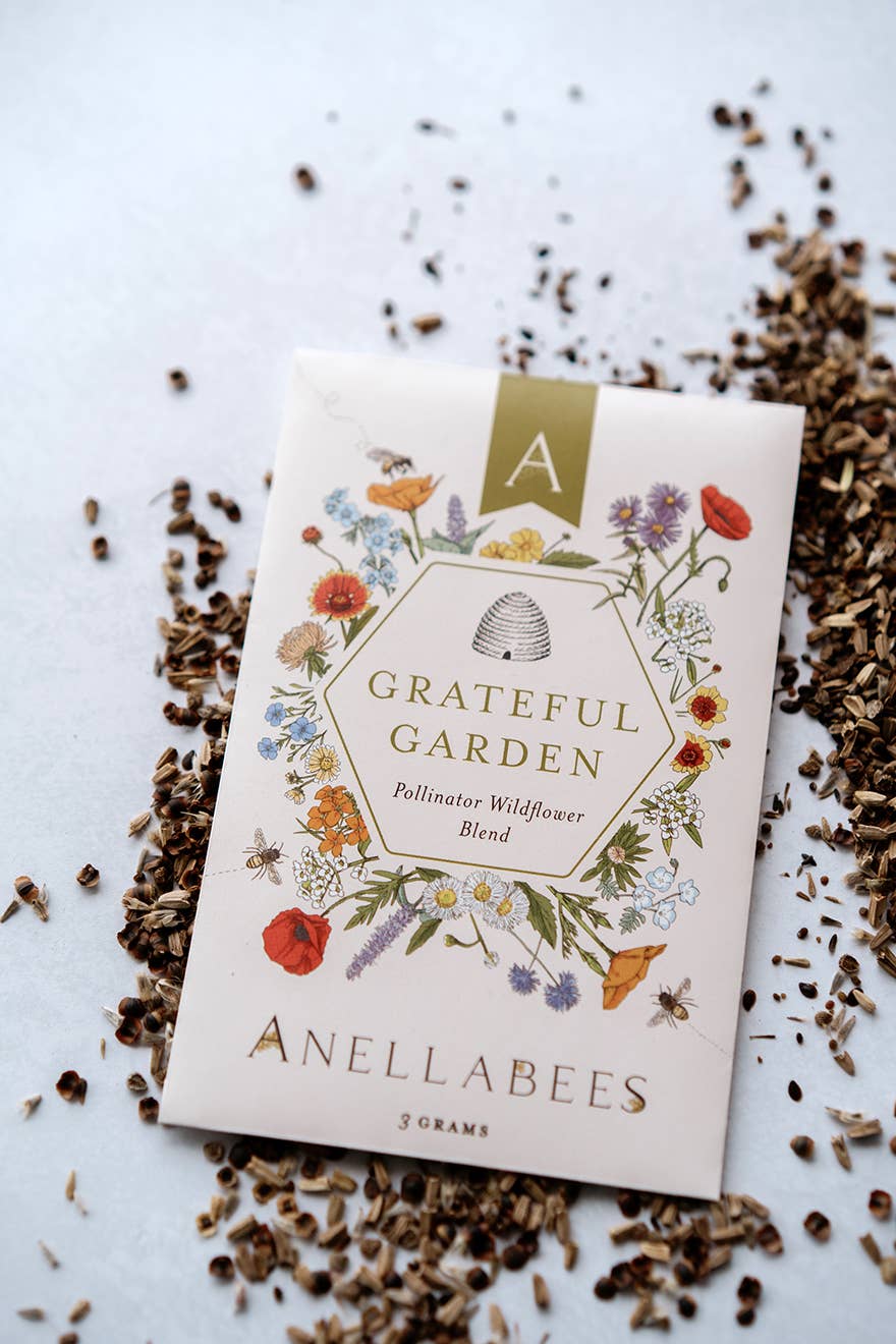 Pollinator Wildflower Seed Blend for Spring
