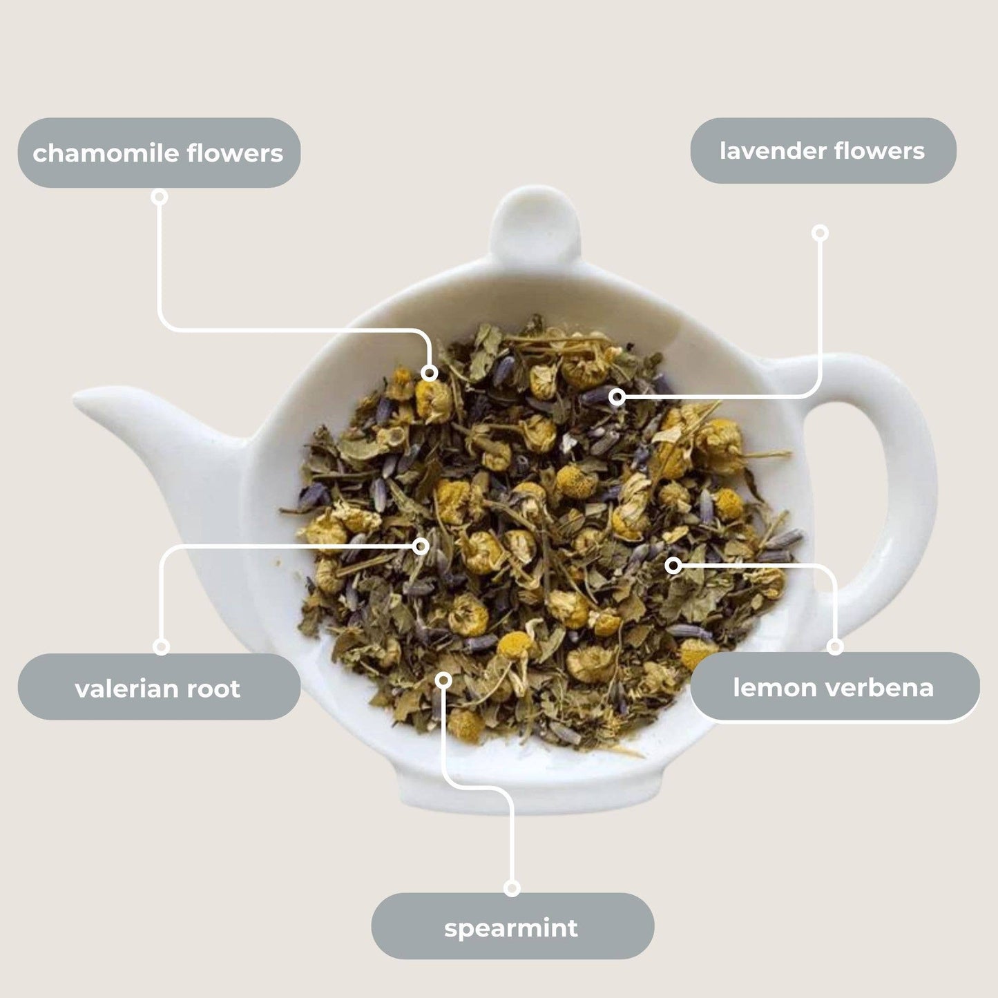Nighttime Routine Sleep Tea Mini Tube