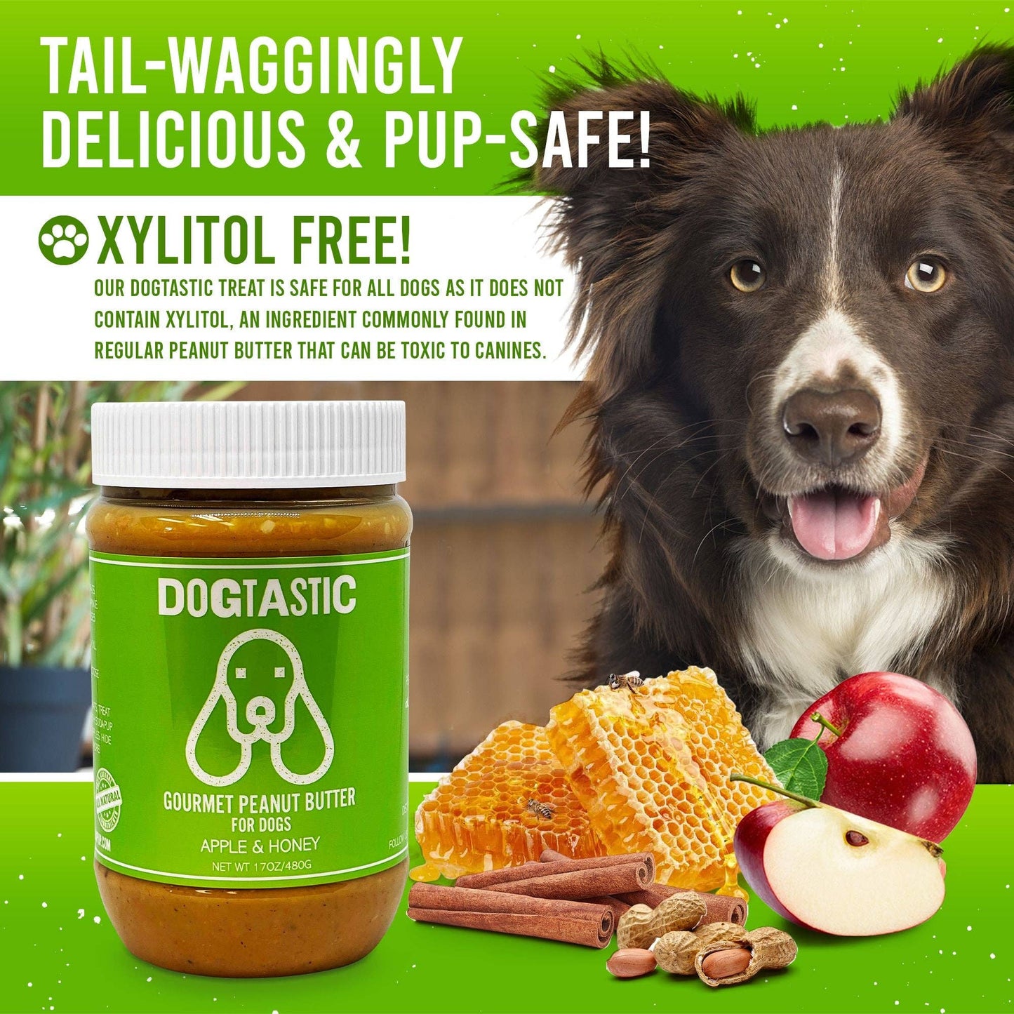 Dogtastic Gourmet Peanut Butter for Dogs - Flax Seed - The Localist