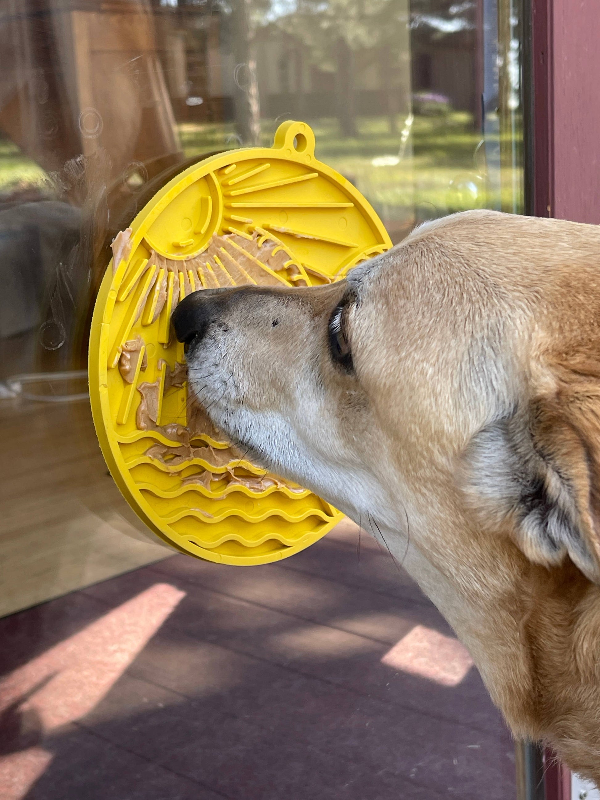 Sun n' Sea eMat Enrichment Lick Mat With Suction Cups - The Localist