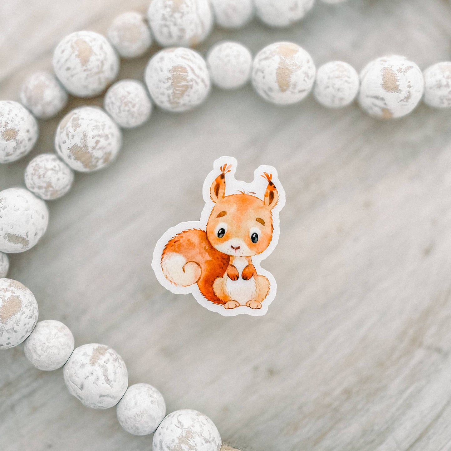 Cute Little Squirrel Clear Vinyl, Sticker, 2.5 in.