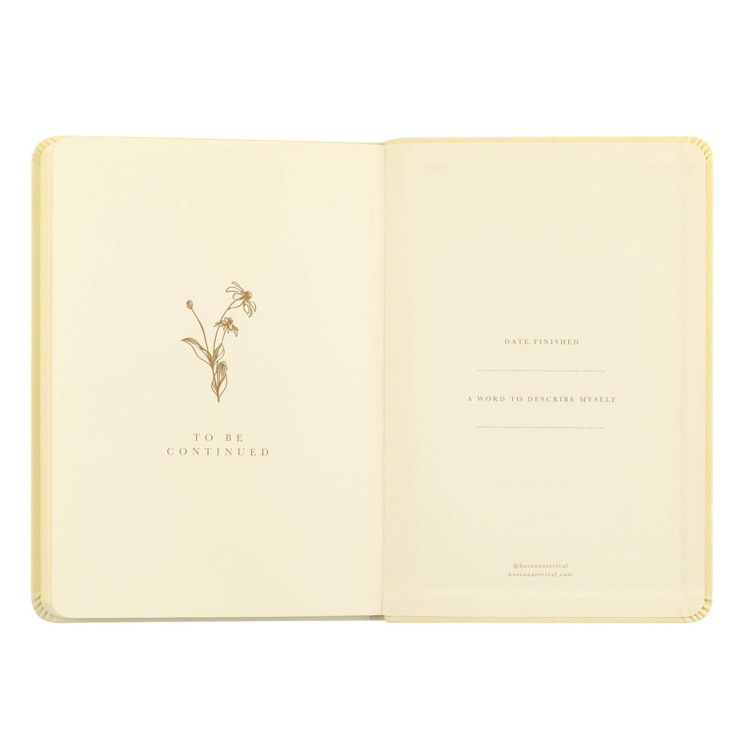 Notebook: Belfast Theme
