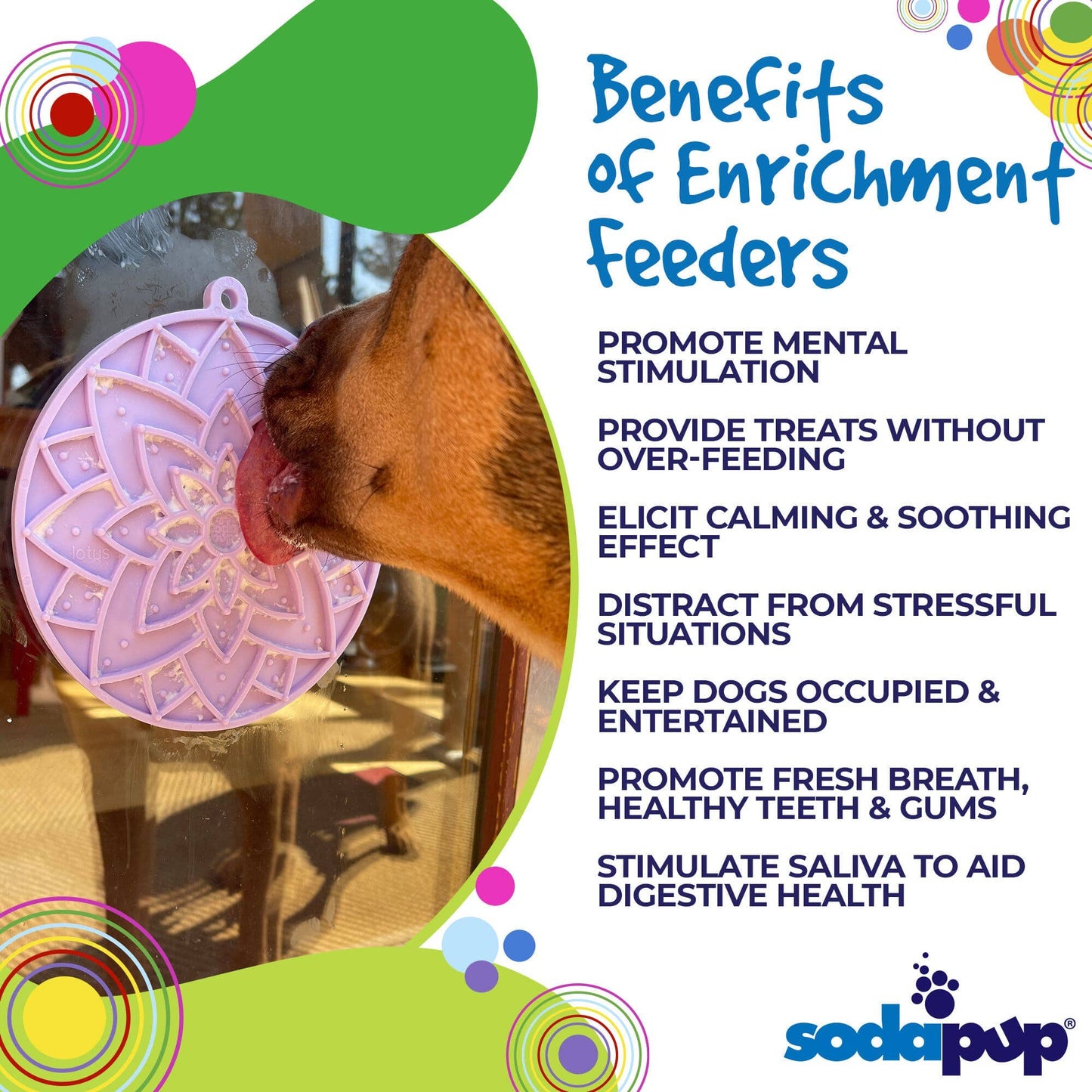 Lotus eMat Enrichment Lick Mat With Suction Cups - The Localist