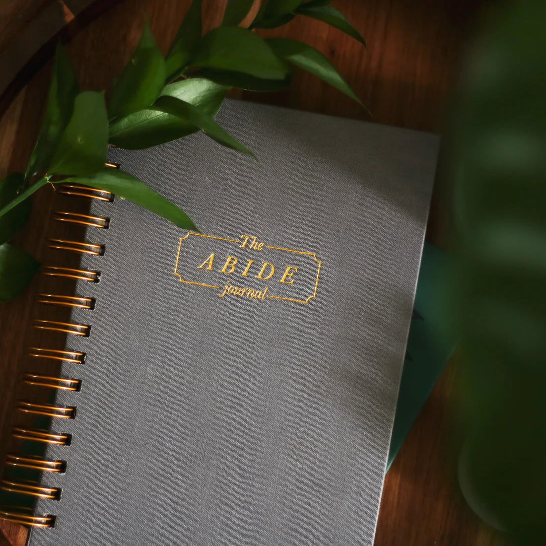 Abide Guided Journal - The Localist