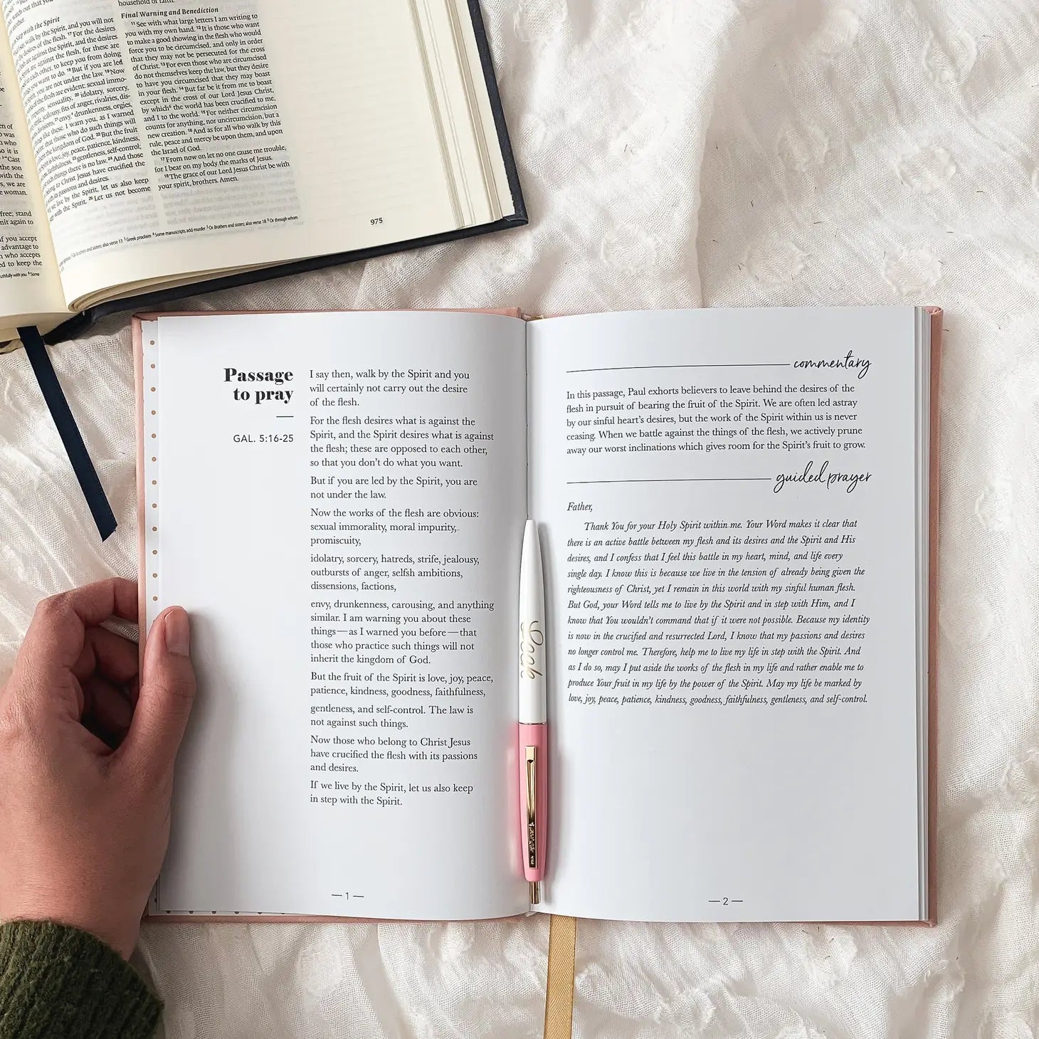 All Things New - Praying Scripture Guided Journal - The Localist
